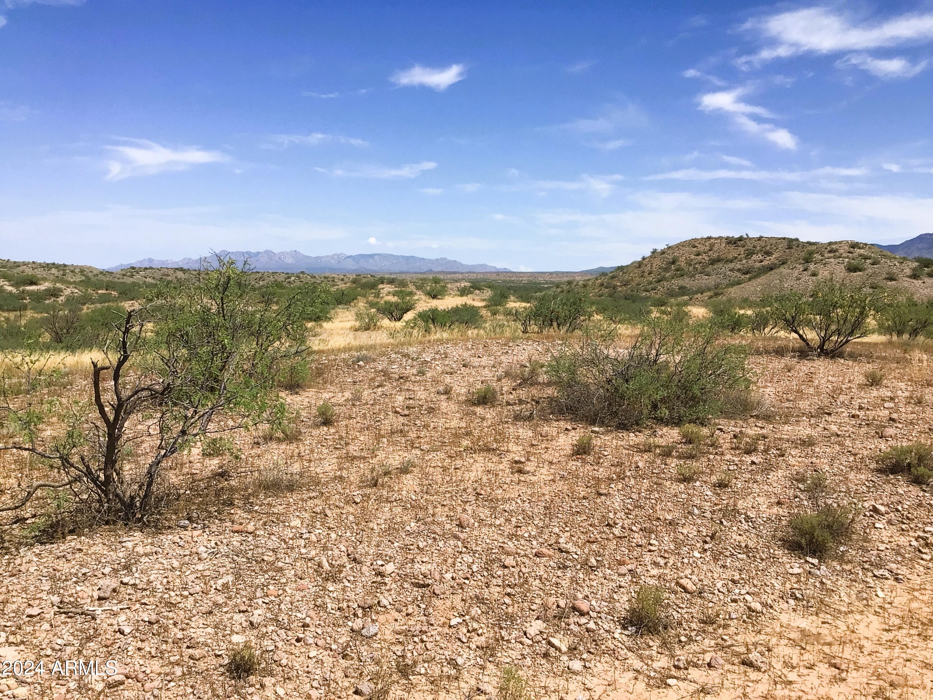 37.04-ac South Warpaint Path, Unit 10 Willcox, AZ 85643 - Photo 23 of 50 IMG_3989