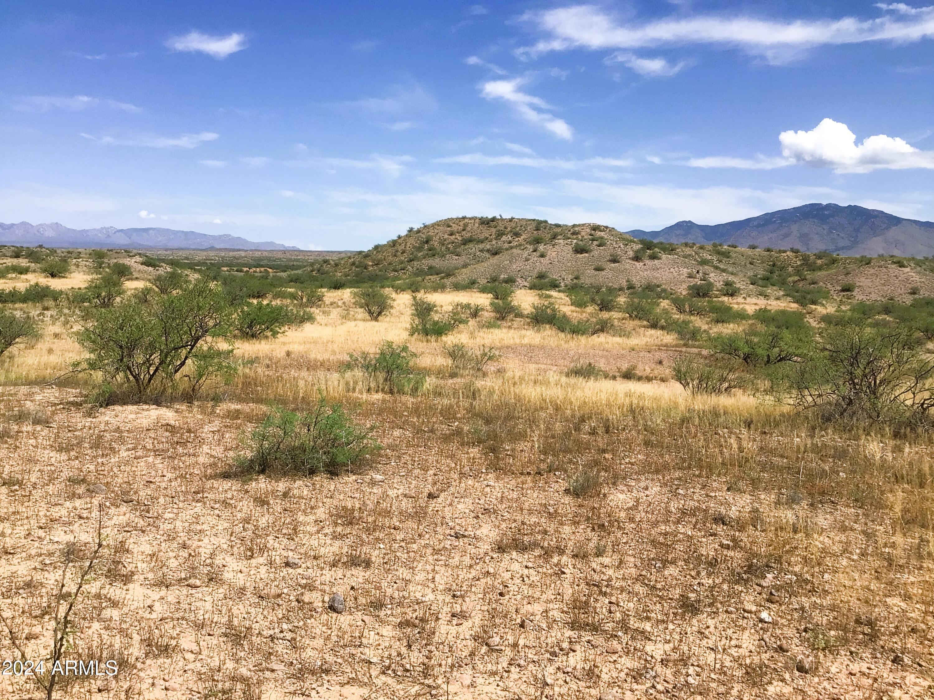 37.04-ac South Warpaint Path, Unit 10 Willcox, AZ 85643 - Photo 25 of 50 IMG_3991