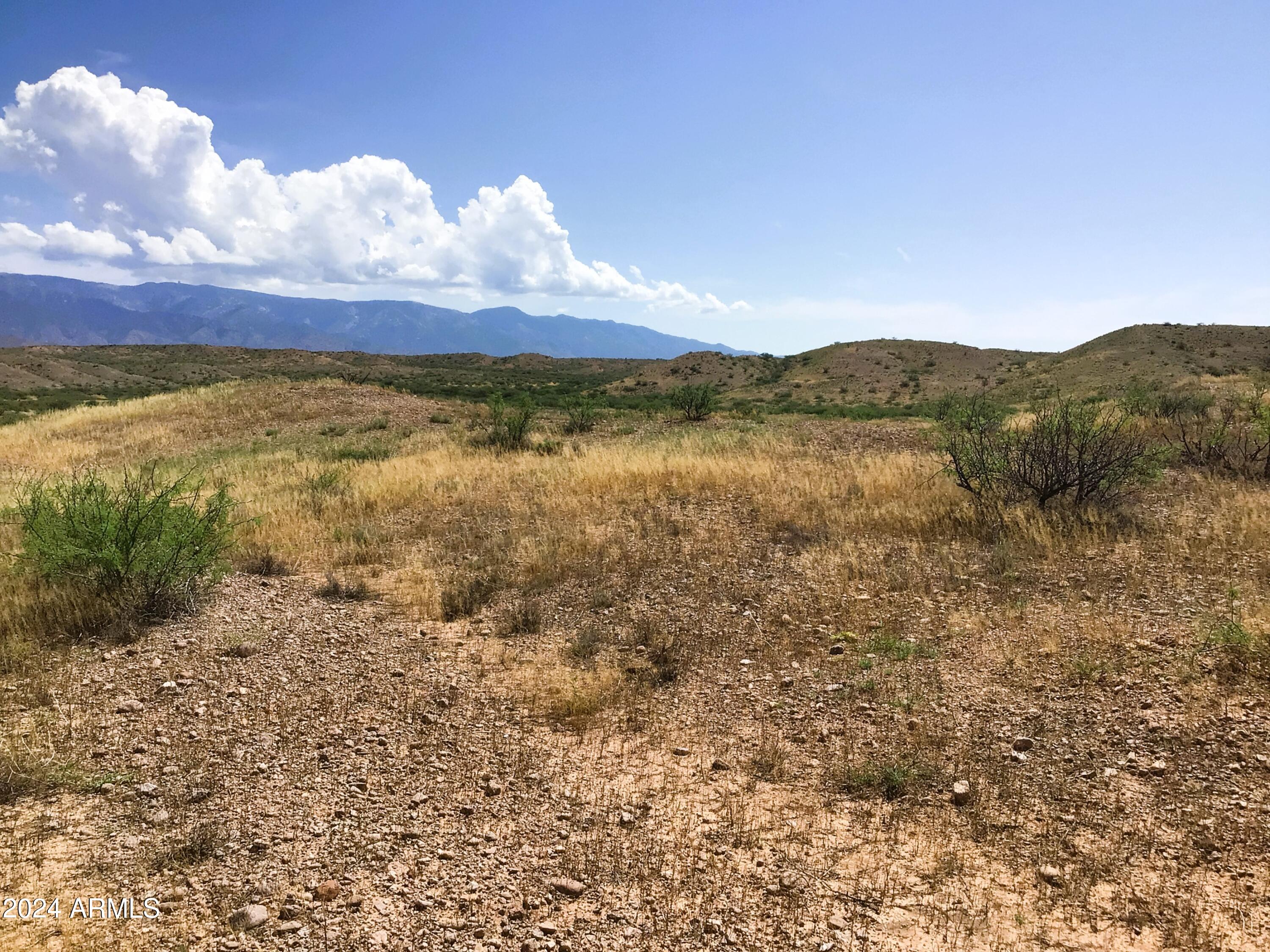 37.04-ac South Warpaint Path, Unit 10 Willcox, AZ 85643 - Photo 27 of 50 IMG_3993