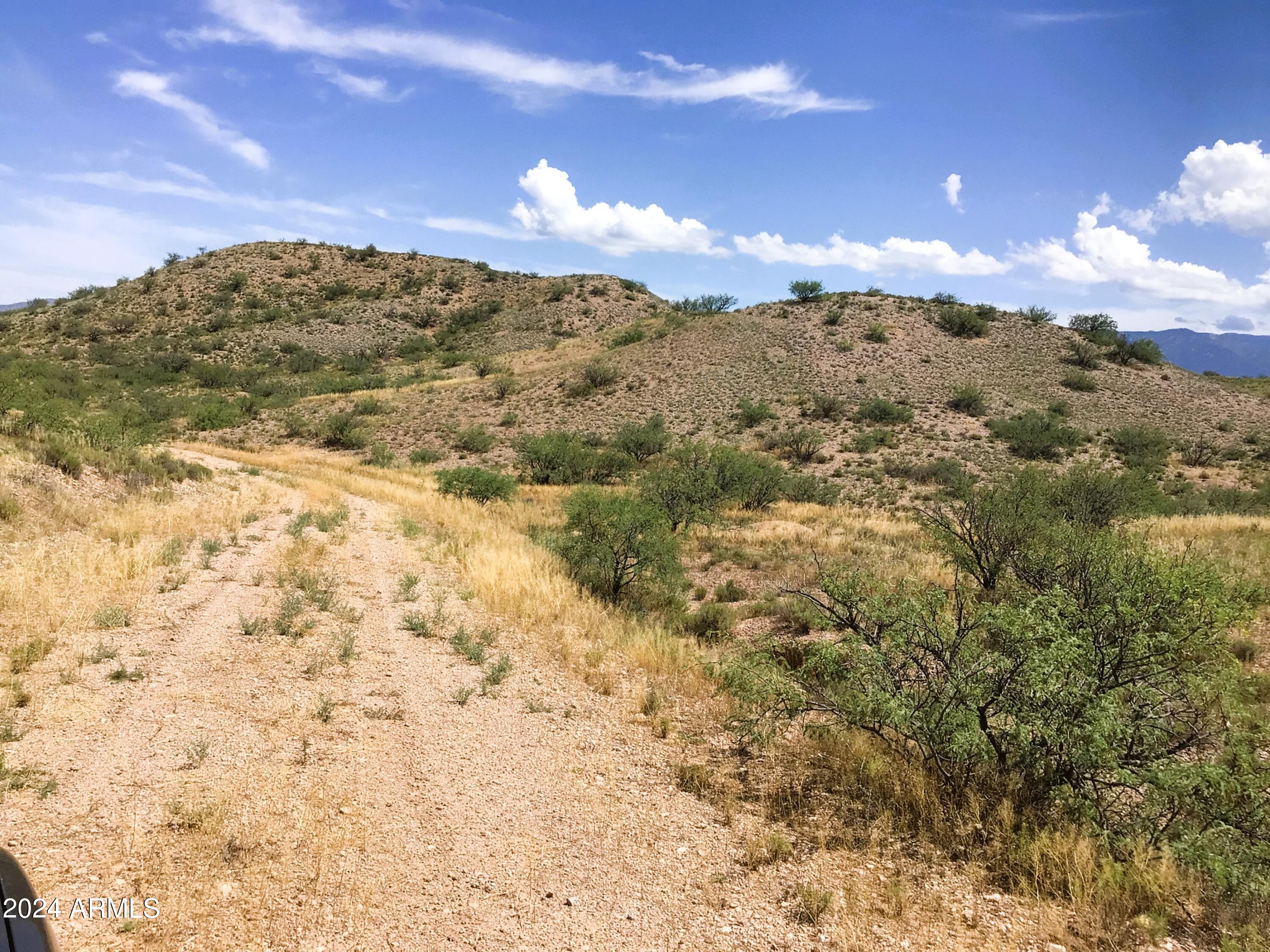 37.04-ac South Warpaint Path, Unit 10 Willcox, AZ 85643 - Photo 30 of 50 IMG_3998
