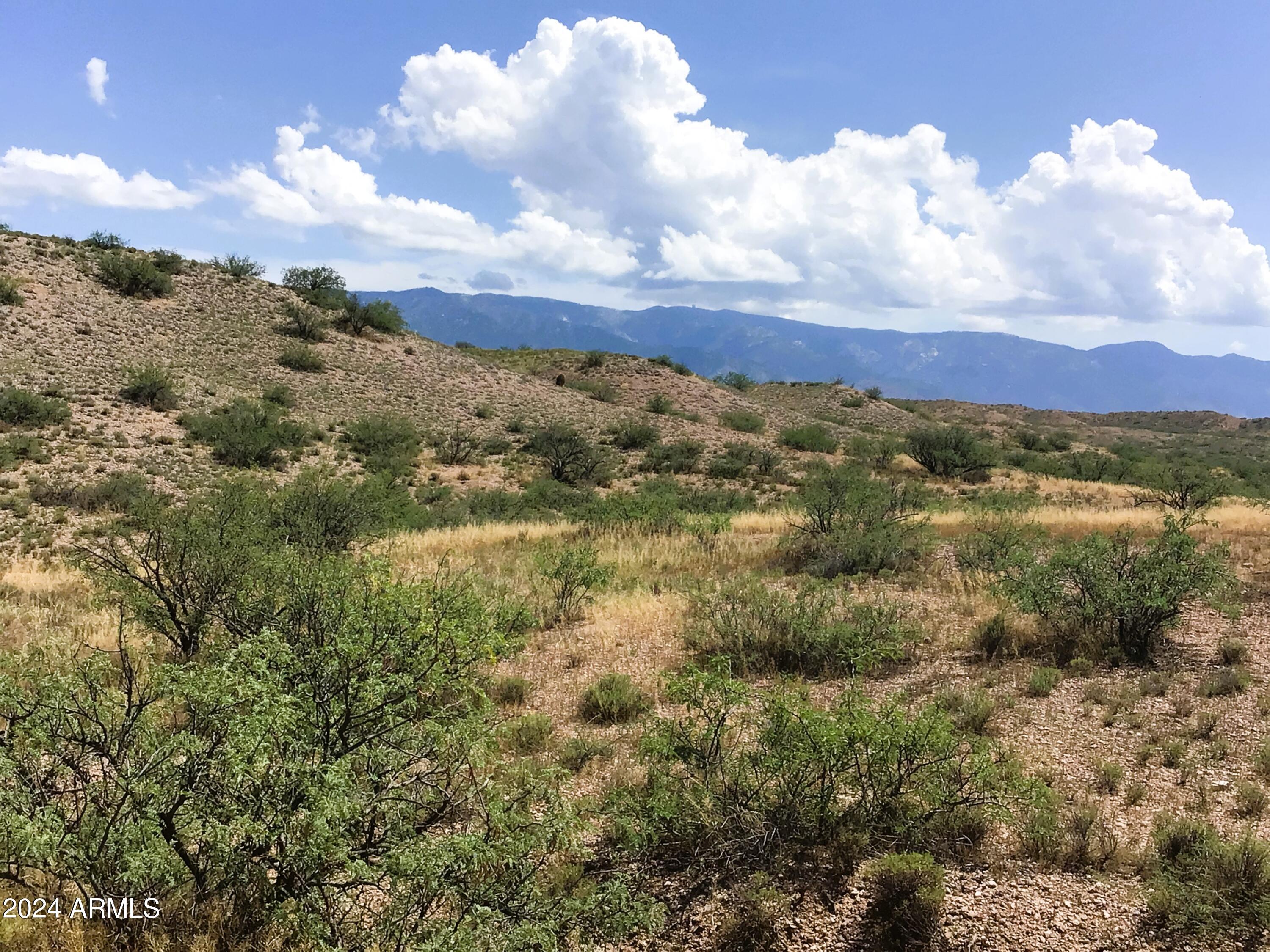 37.04-ac South Warpaint Path, Unit 10 Willcox, AZ 85643 - Photo 33 of 50 IMG_4002