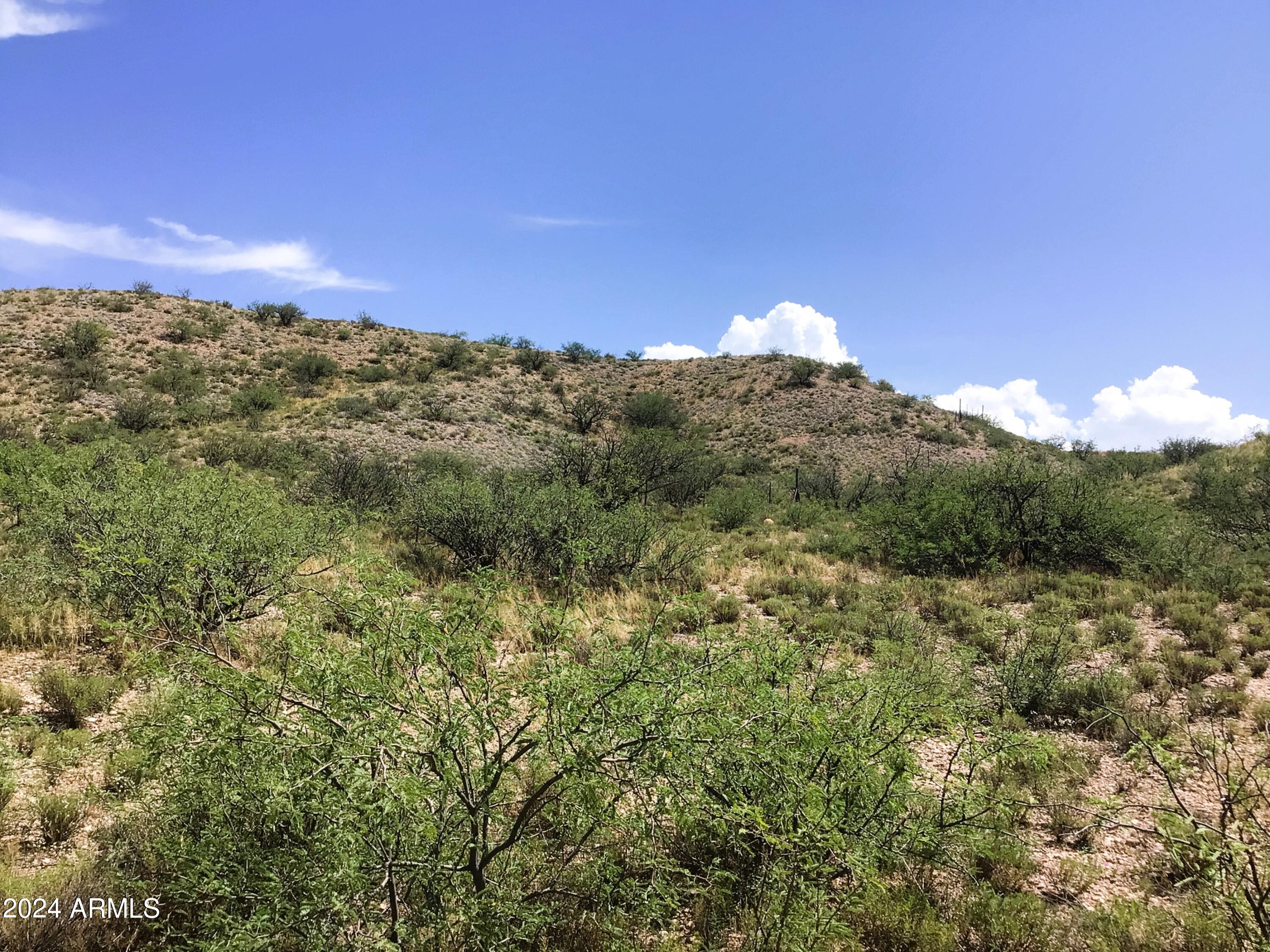 37.04-ac South Warpaint Path, Unit 10 Willcox, AZ 85643 - Photo 35 of 50 IMG_4006