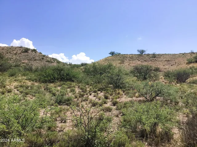 $42,000 | 37.04-ac South Warpaint Path, Unit 10, Willcox, AZ 85643