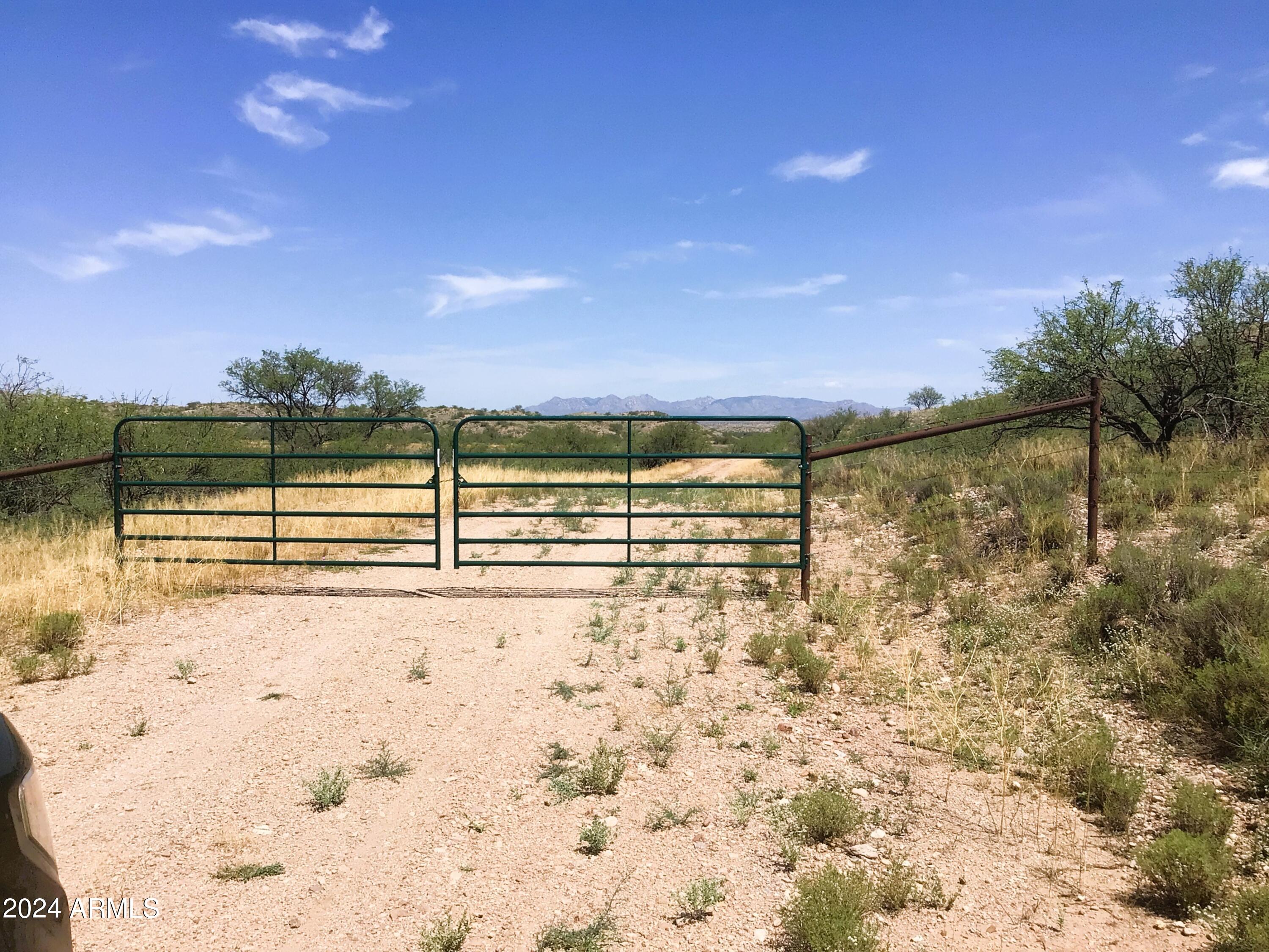 37.04-ac South Warpaint Path, Unit 10 Willcox, AZ 85643 - Photo 38 of 50 IMG_4009