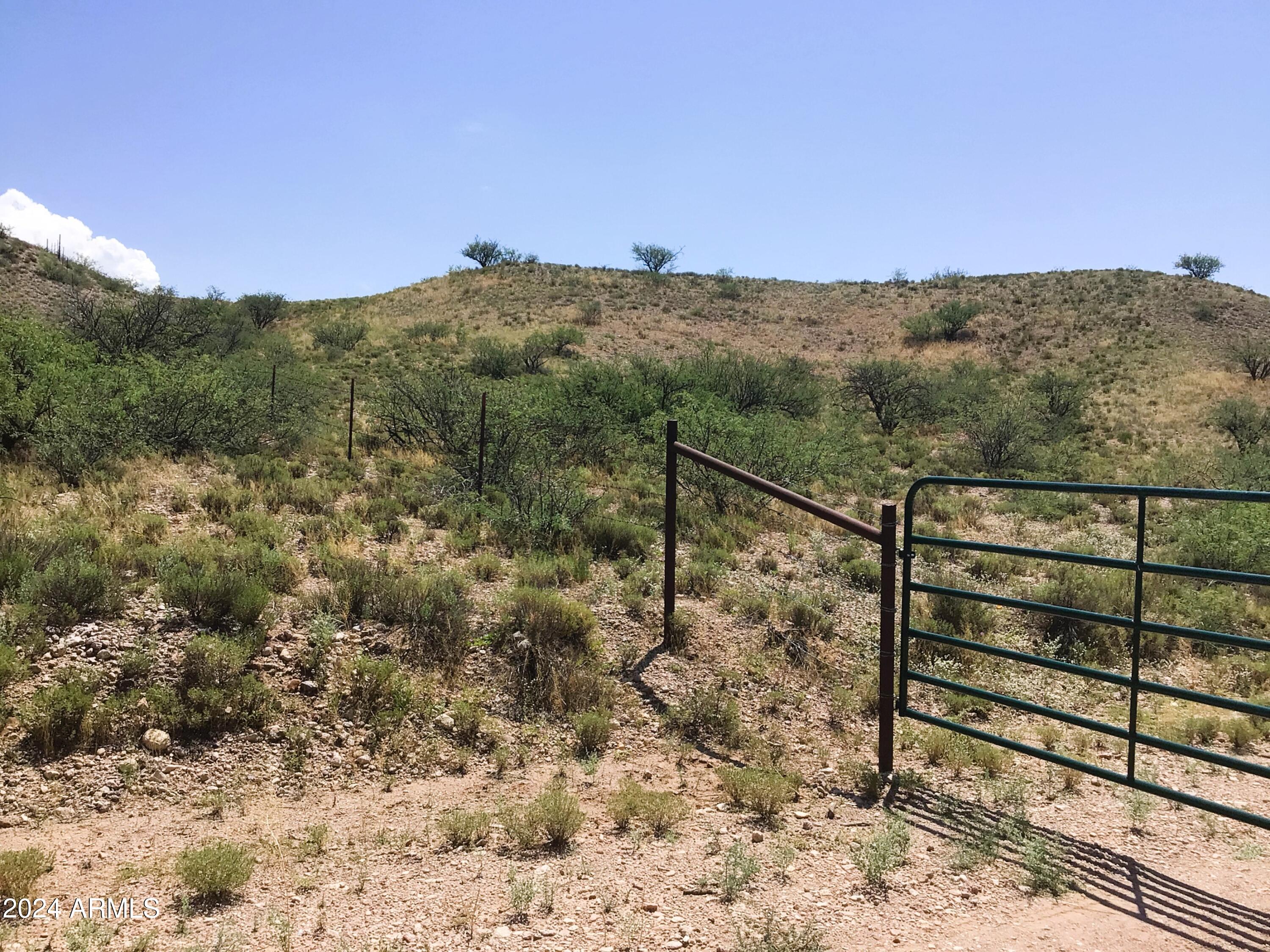 37.04-ac South Warpaint Path, Unit 10 Willcox, AZ 85643 - Photo 39 of 50 IMG_4012