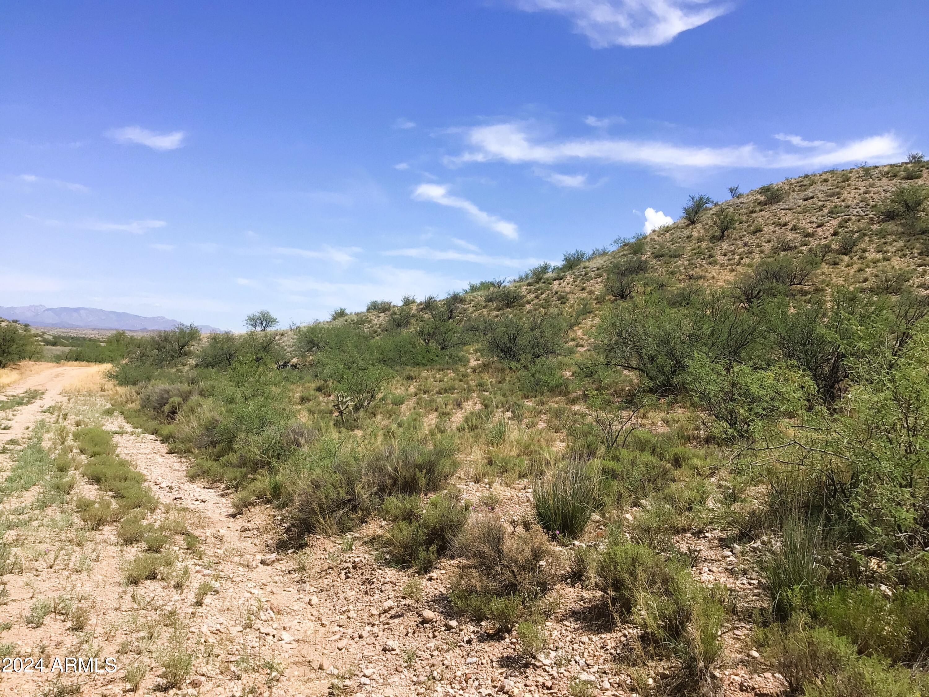37.04-ac South Warpaint Path, Unit 10 Willcox, AZ 85643 - Photo 40 of 50 IMG_4013