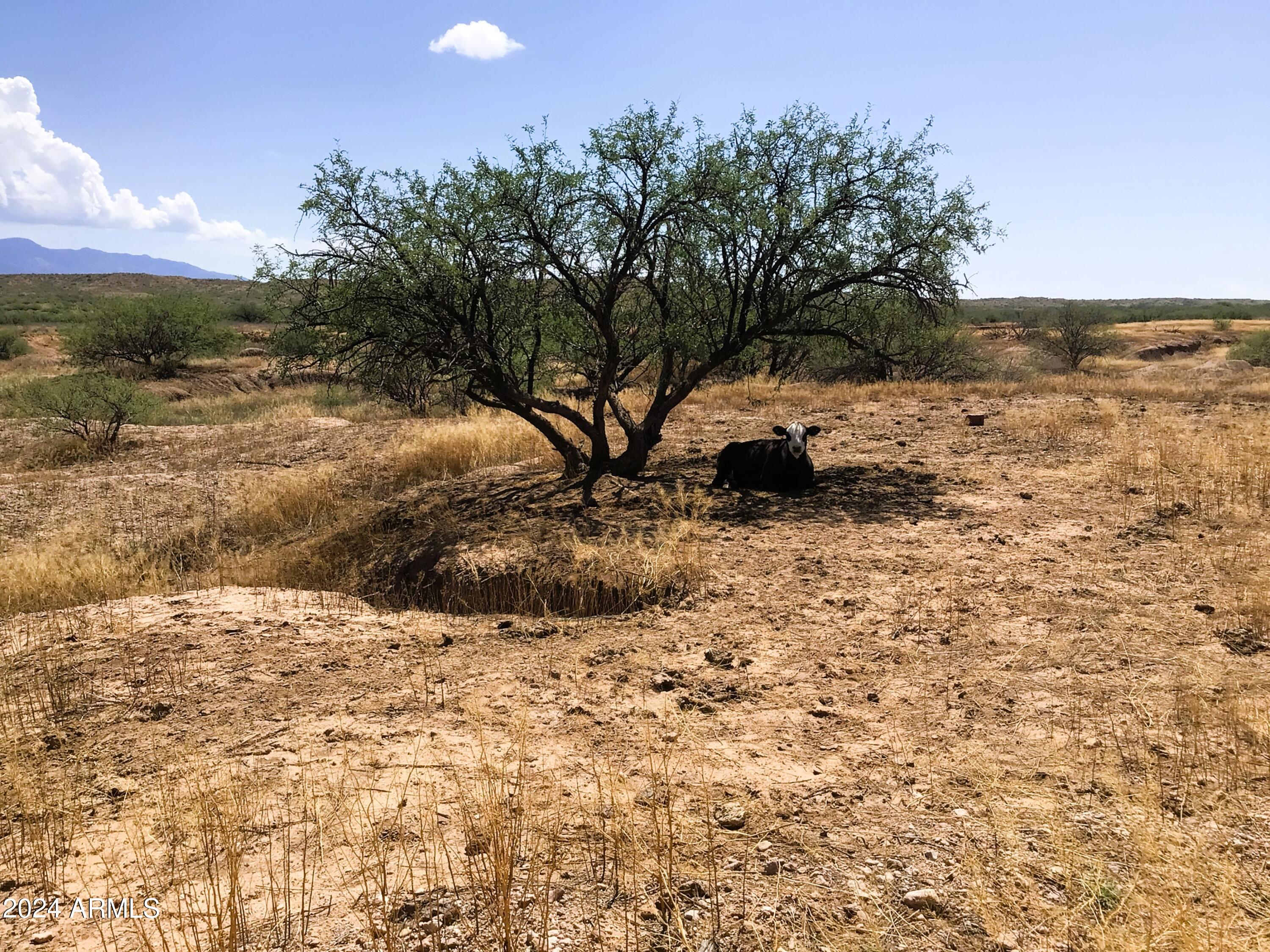 37.04-ac South Warpaint Path, Unit 10 Willcox, AZ 85643 - Photo 42 of 50 IMG_4017