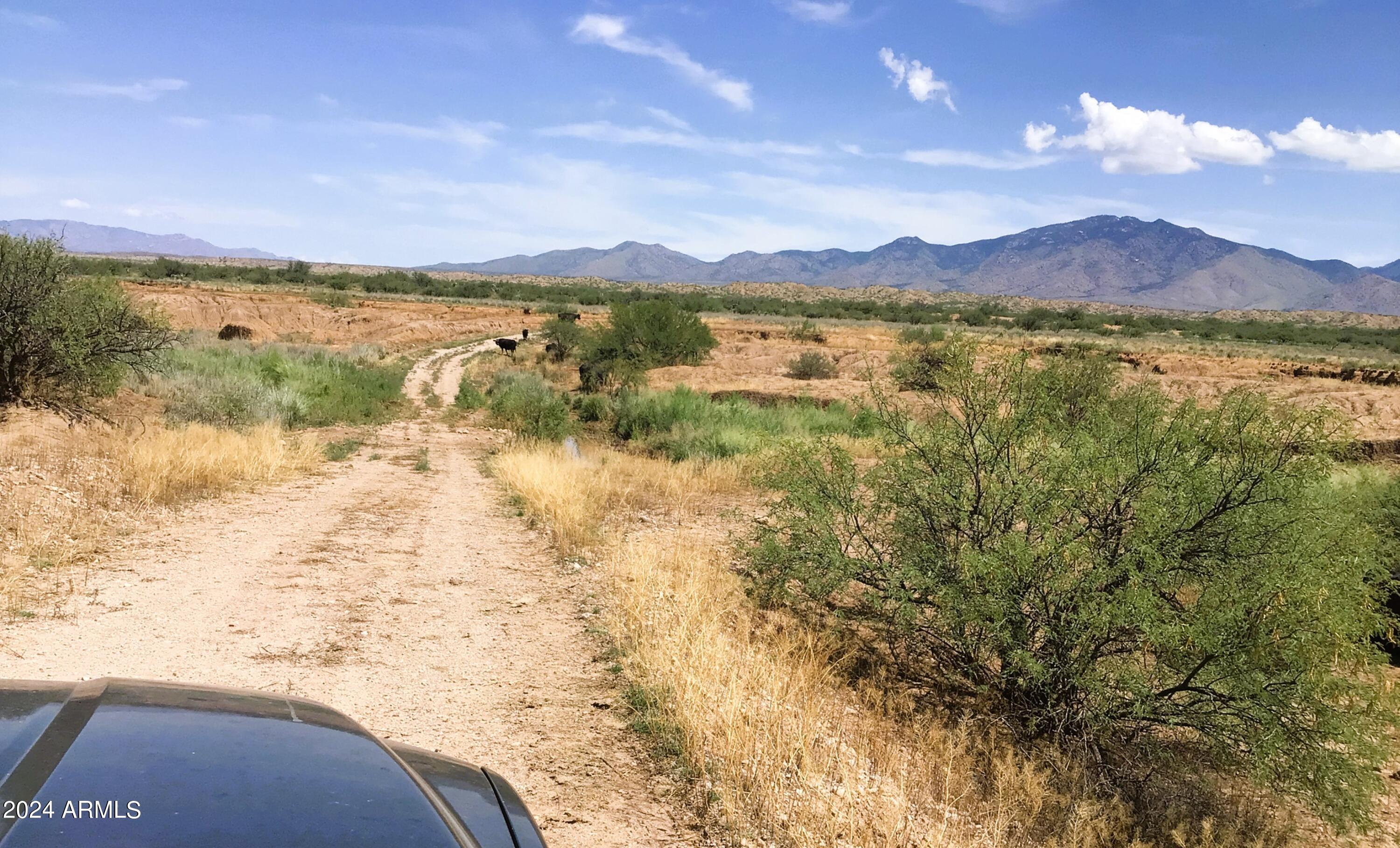 37.04-ac South Warpaint Path, Unit 10 Willcox, AZ 85643 - Photo 44 of 50 IMG_4019