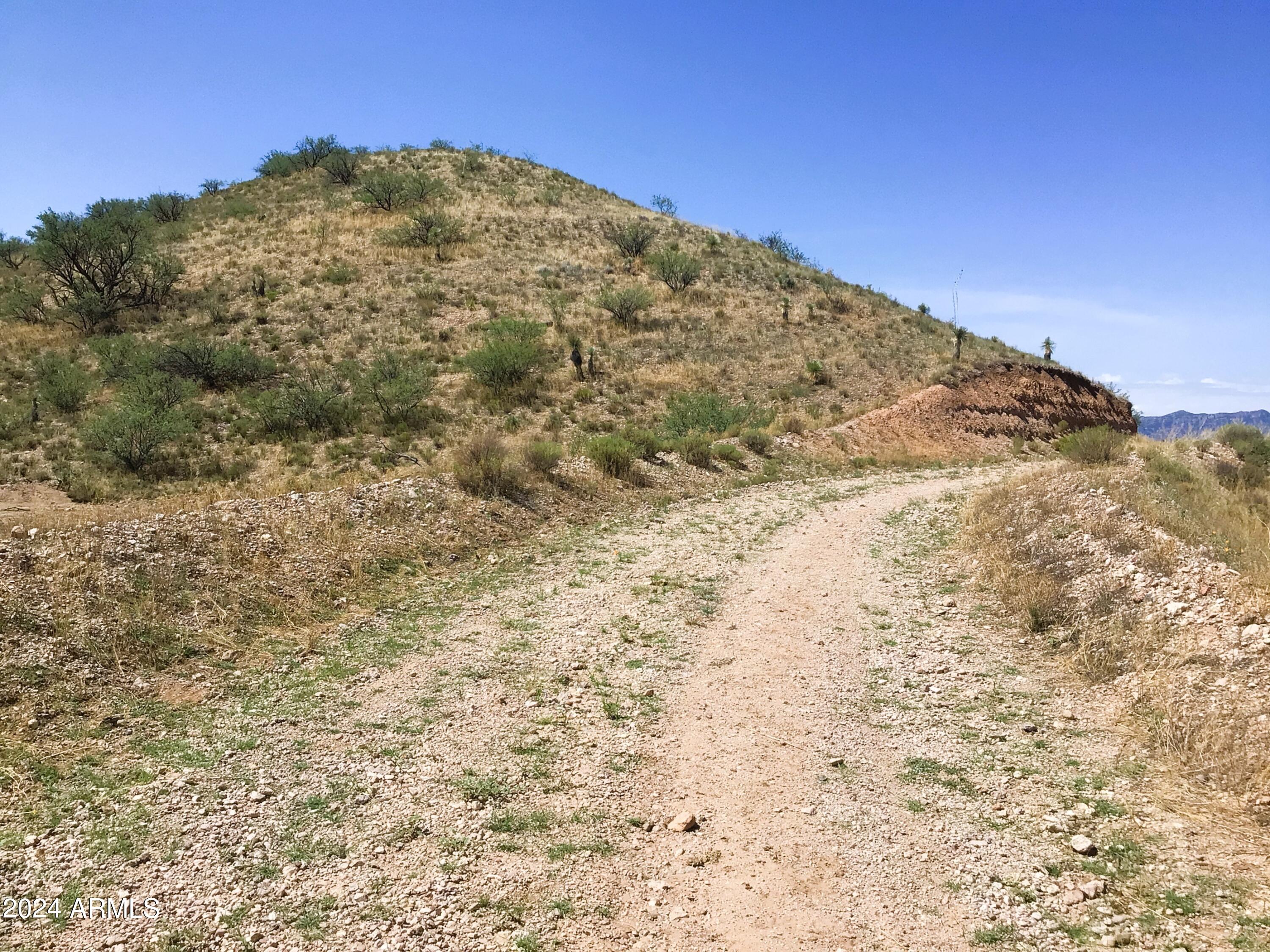 37.04-ac South Warpaint Path, Unit 10 Willcox, AZ 85643 - Photo 5 of 50 IMG_3955