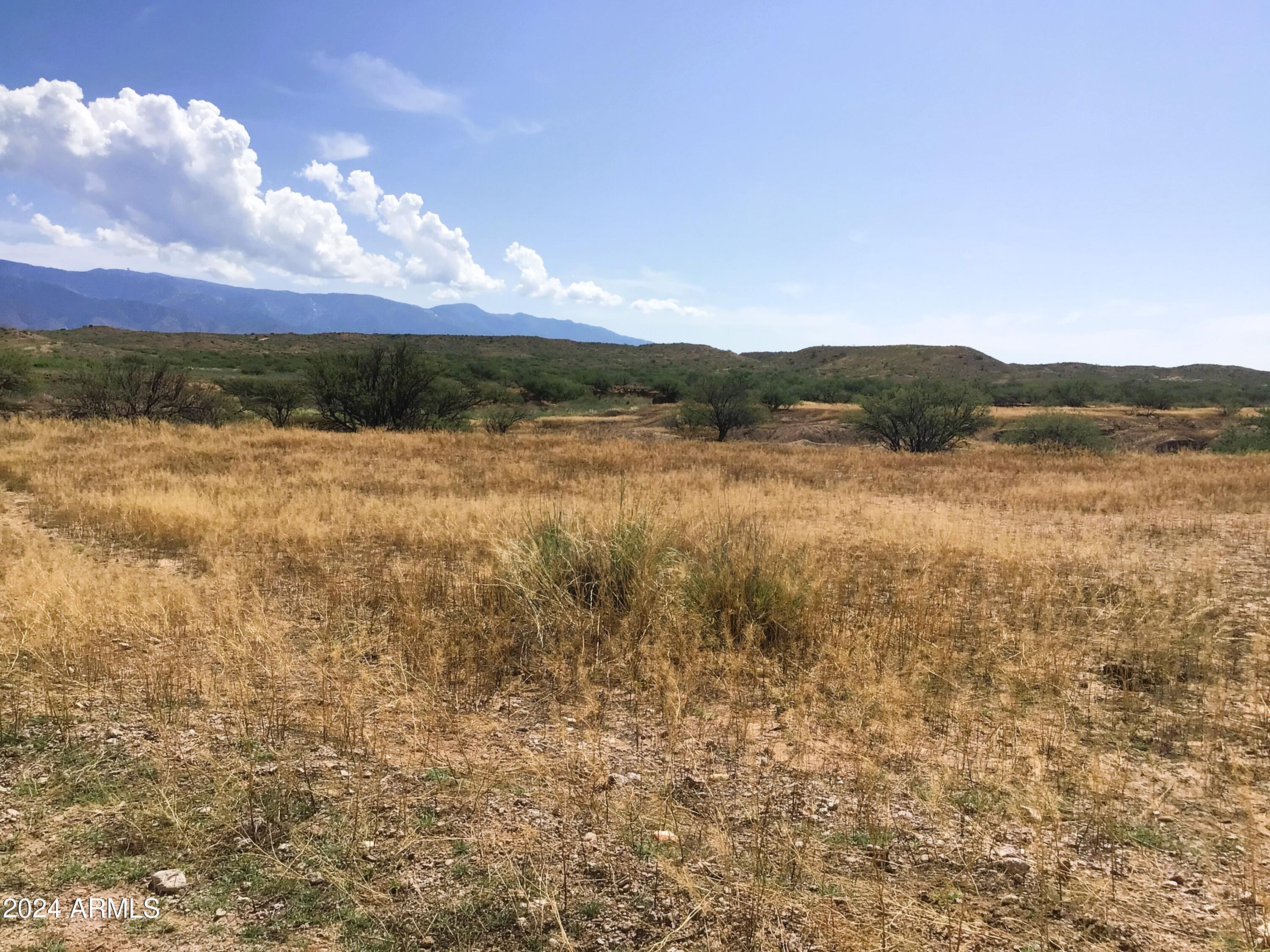 37.04-ac South Warpaint Path, Unit 10 Willcox, AZ 85643 - Photo 9 of 50 IMG_3961