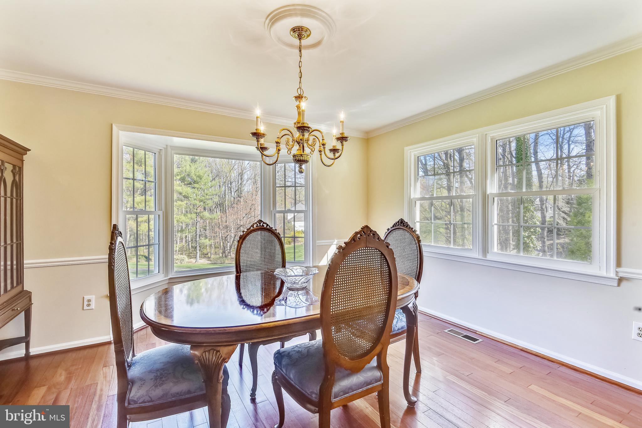 11620 Deer Forest Road Reston, VA 20194 - Photo 18 of 57 Dining room - the art is the view from the bay!