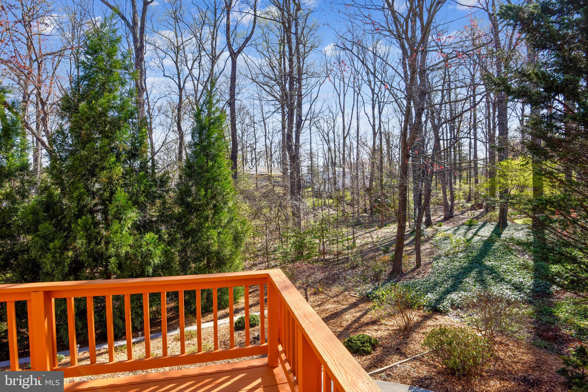 11620 Deer Forest Road Reston, VA 20194 - Photo 47 of 57 Gallery Image 47