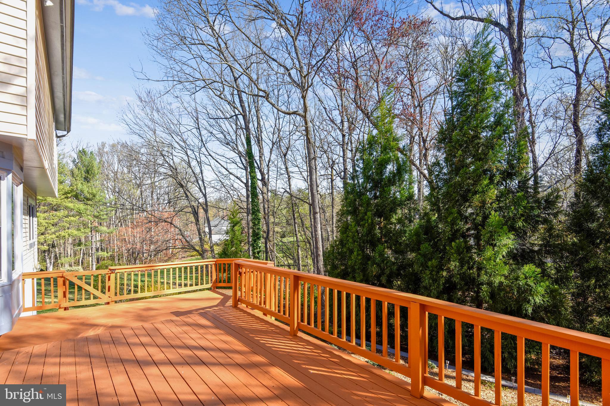 11620 Deer Forest Road Reston, VA 20194 - Photo 48 of 57 Gallery Image 48