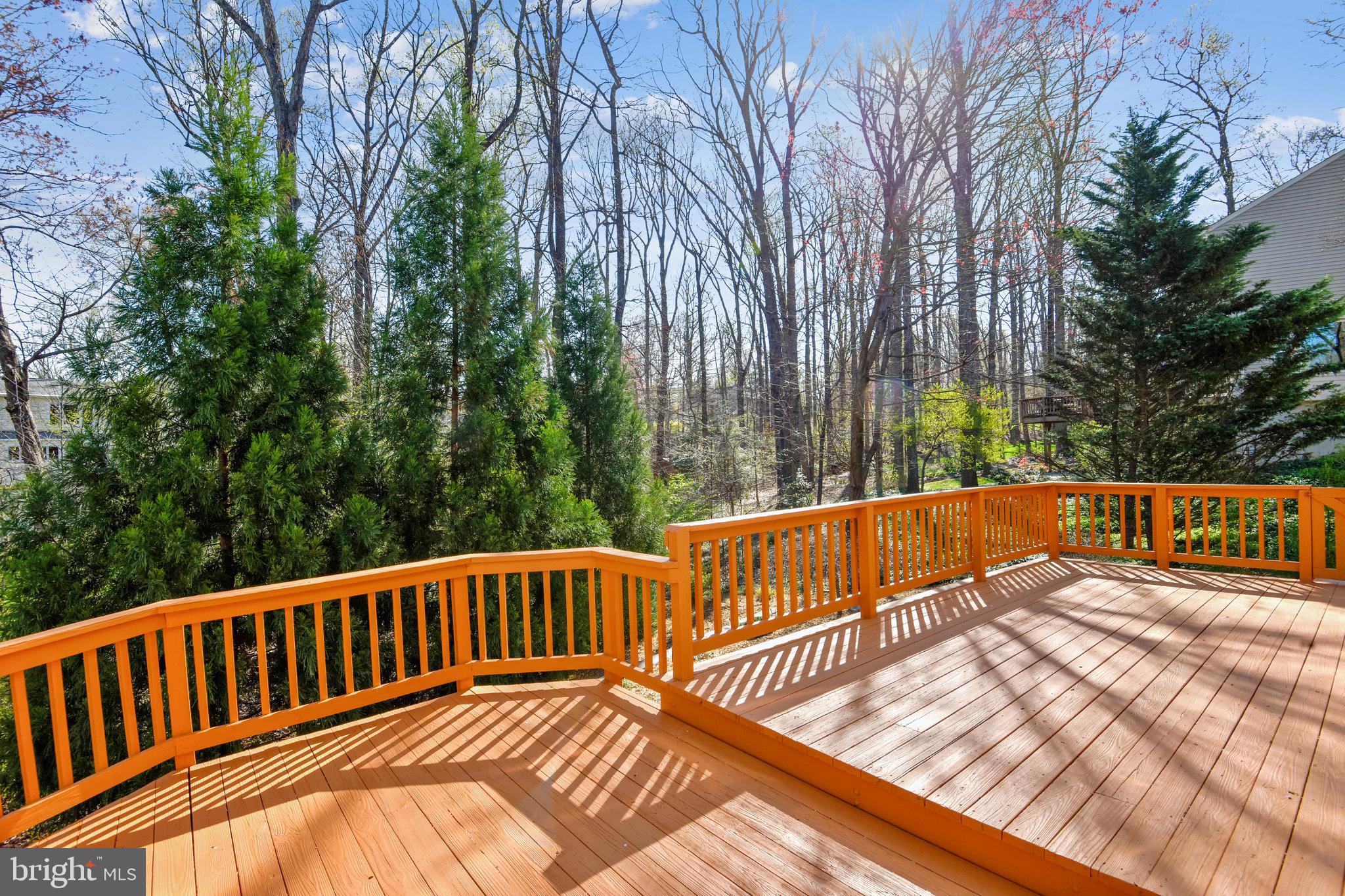 11620 Deer Forest Road Reston, VA 20194 - Photo 49 of 57 Gallery Image 49