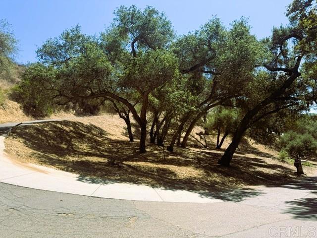 0 Stewart Canyon Road Fallbrook, CA 92028 - Photo 7 of 15 Corner of Stewart Canyon and Taza Road - Taza Road goes through the property
