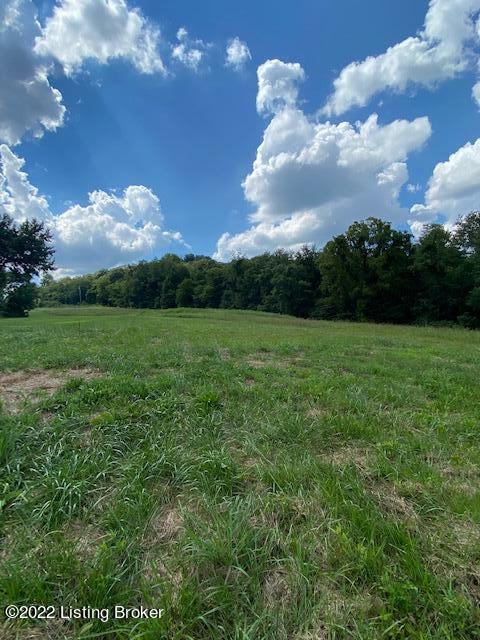 575 Bunger Road Ekron, KY 40117 - Photo 5 of 53 IMG_3075