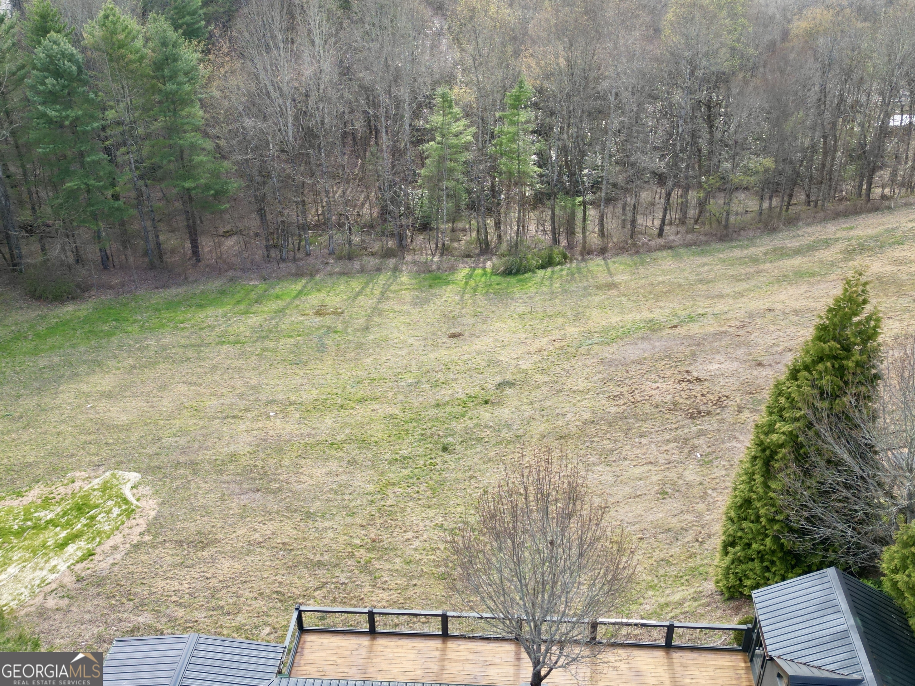 162 Dryman Ridge Road Scaly Mountain, NC 28775 - Photo 12 of 18