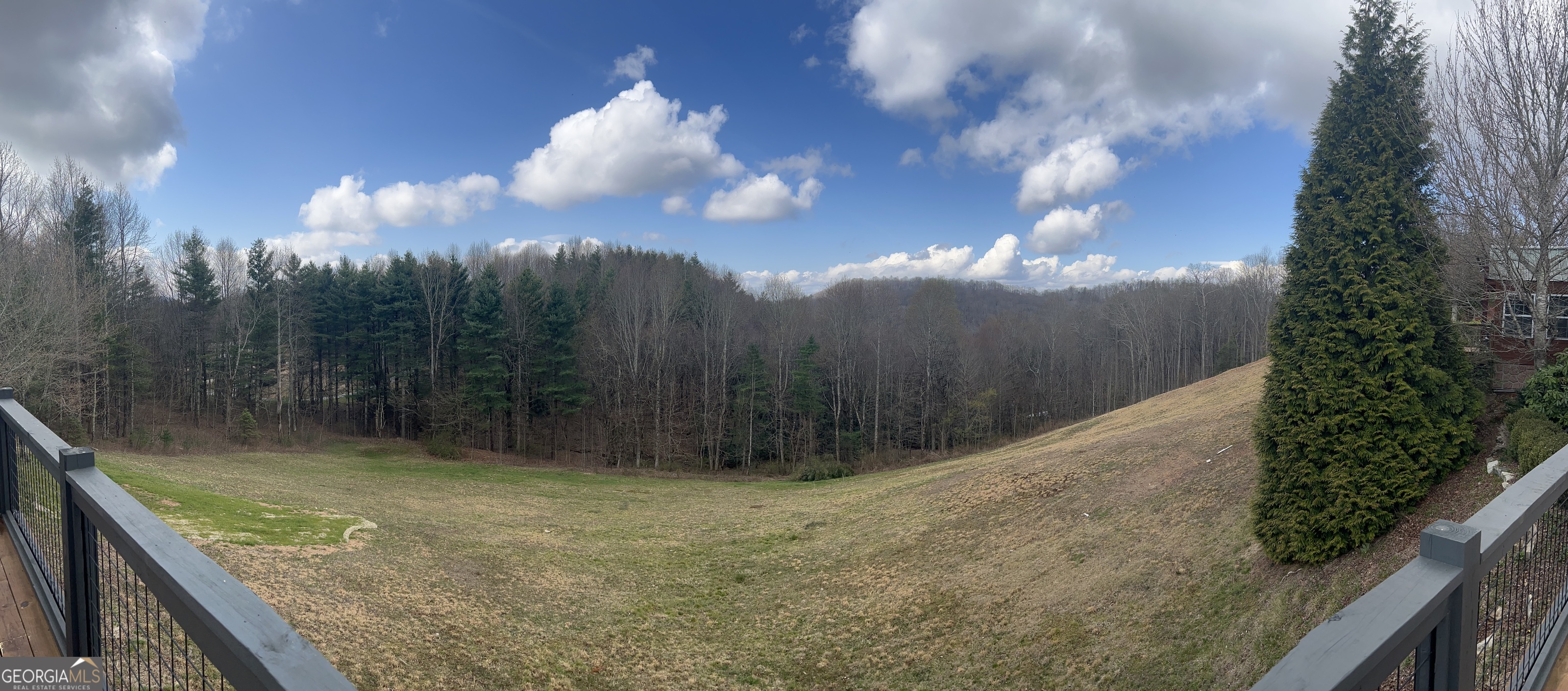 162 Dryman Ridge Road Scaly Mountain, NC 28775 - Photo 7 of 18