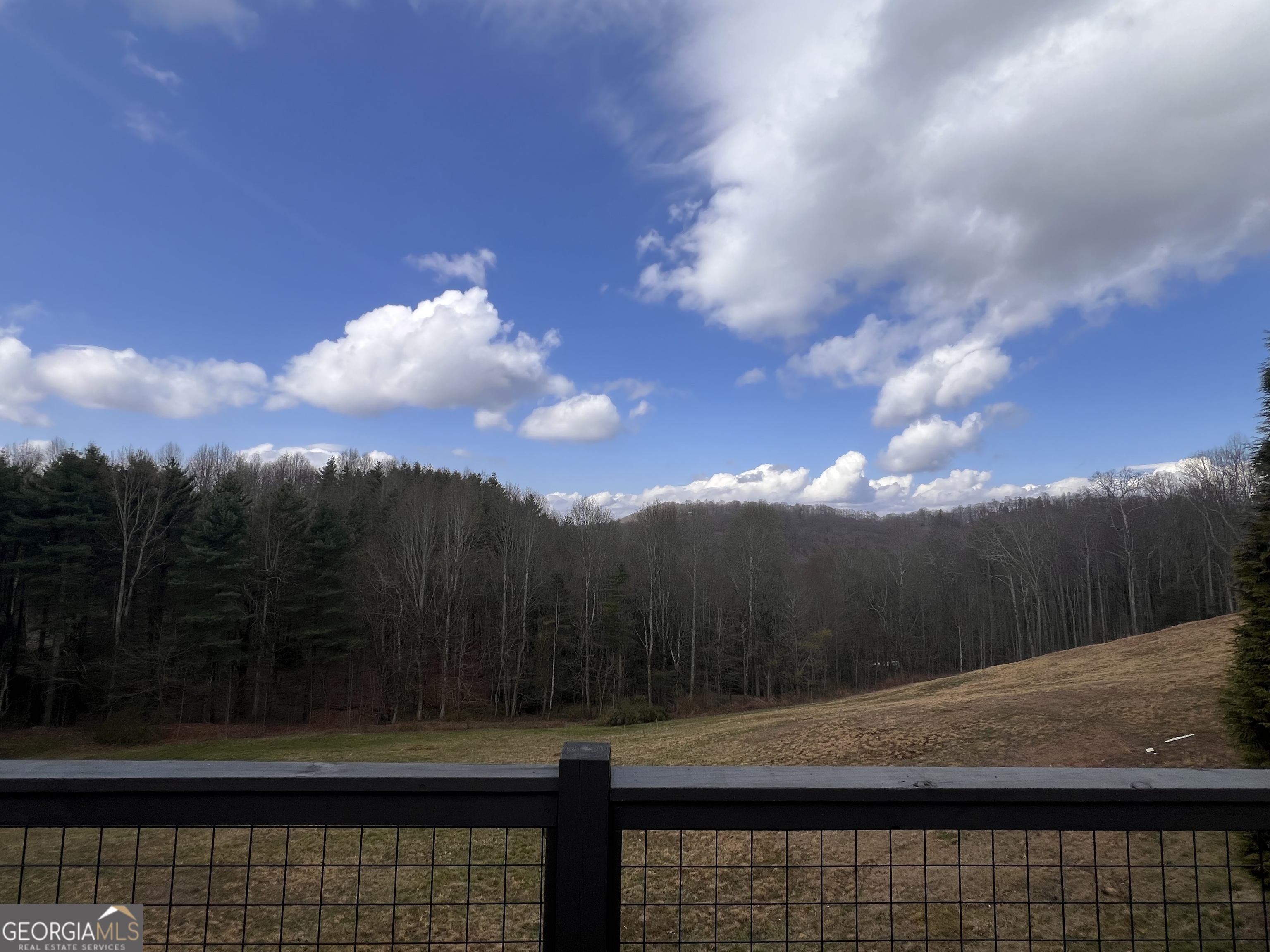 162 Dryman Ridge Road Scaly Mountain, NC 28775 - Photo 8 of 18