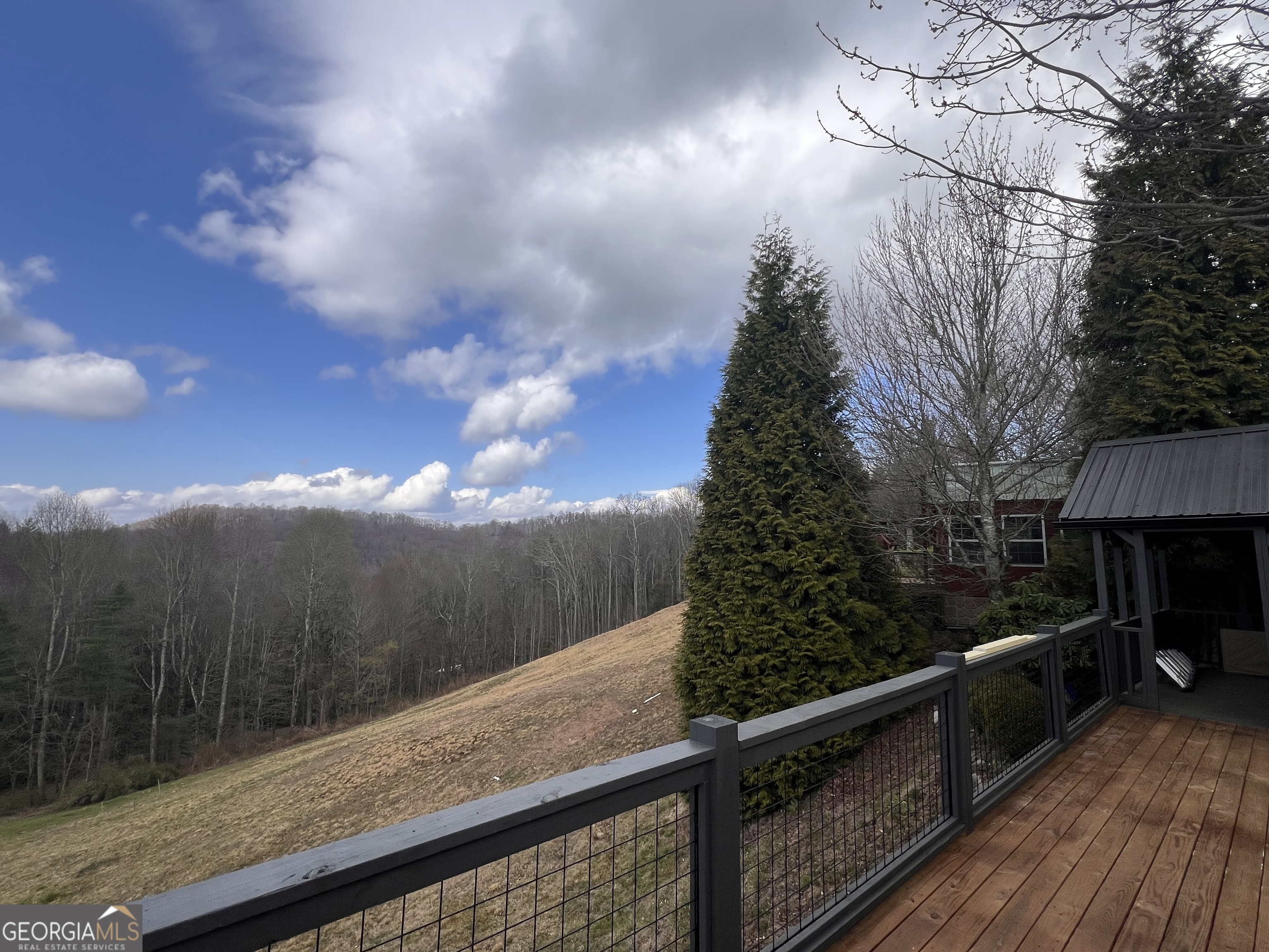162 Dryman Ridge Road Scaly Mountain, NC 28775 - Photo 9 of 18