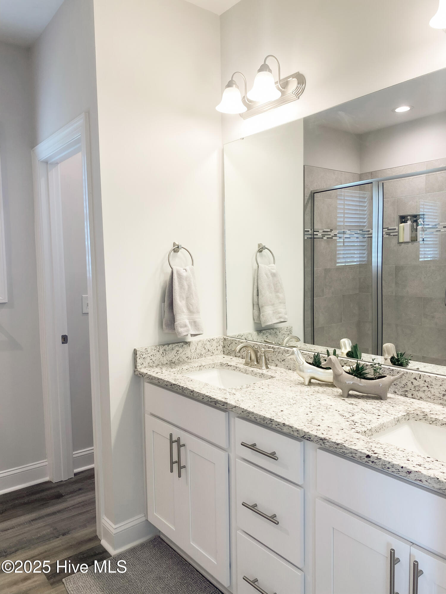 9876 Pace Road Bailey, NC 27807 - Photo 10 of 18 Master Bathroom
