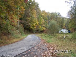 1336 Tanner Fork Road Shock, WV 26638 - Photo 14 of 14 Cabin in distance level land