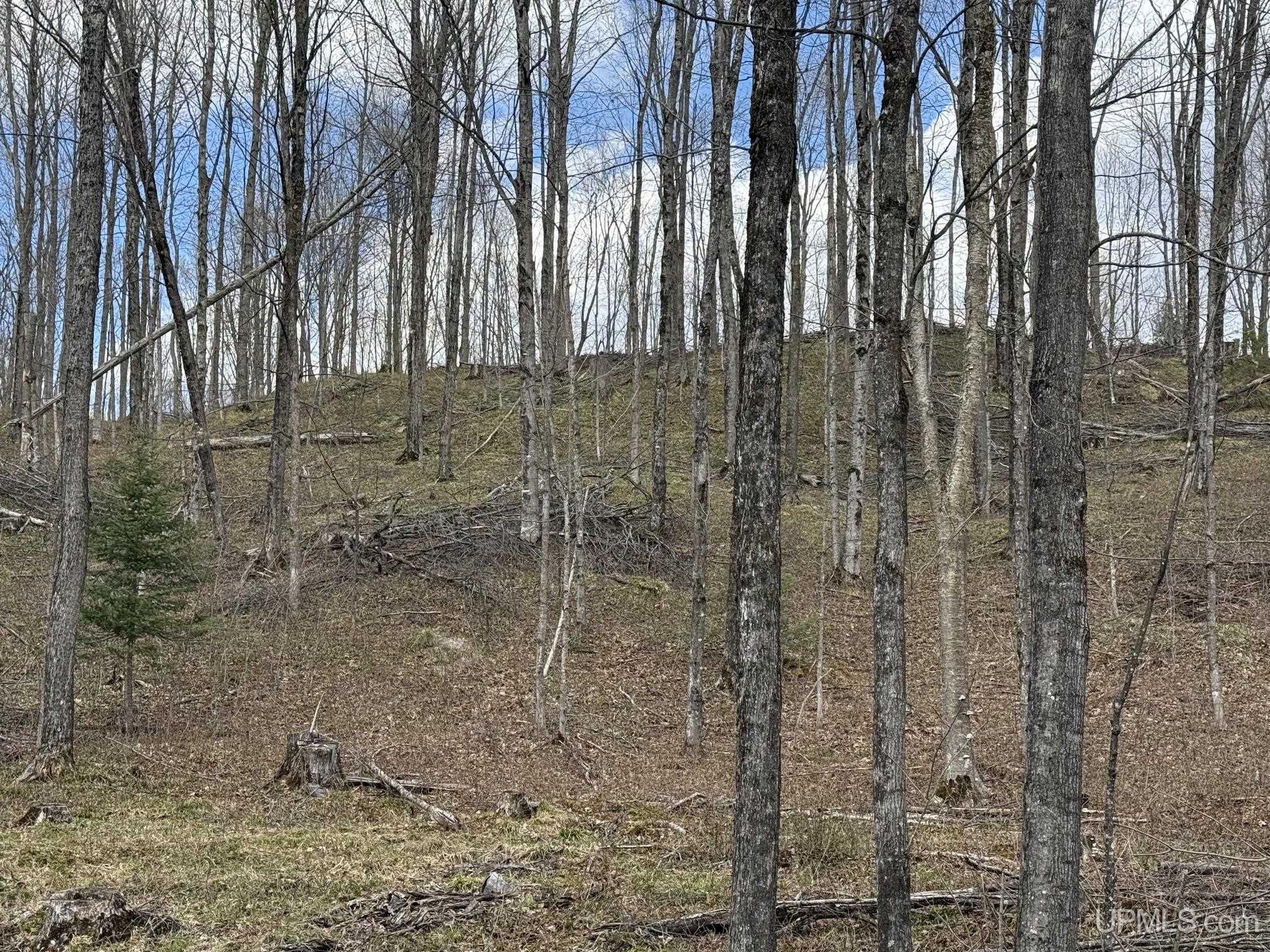 Tbdne Dog Patch Road Lanse, MI 49946 - Photo 19 of 23