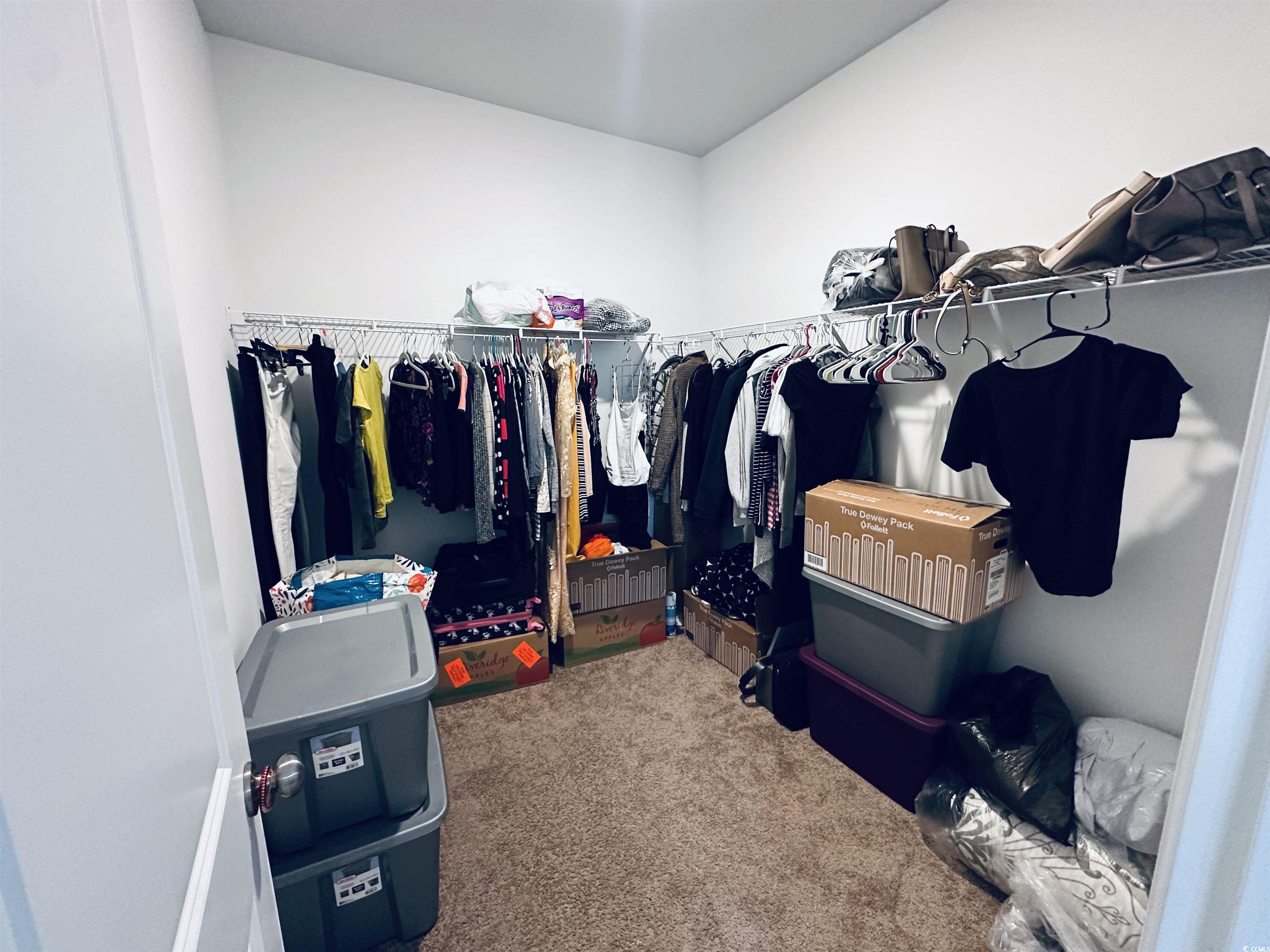5260 Walnutwood Trail Myrtle Beach, SC 29579 - Photo 15 of 30 Walk in closet featuring carpet flooring