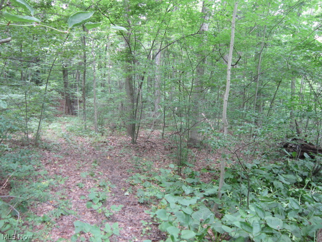 450 South Medina Line Road Akron, OH 44321 - Photo 19 of 23
