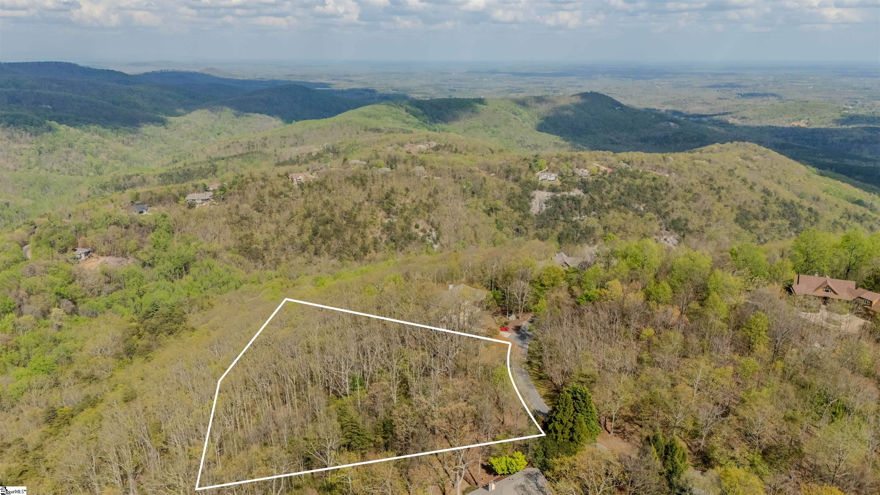 53 Harrier Lane Landrum, SC 29356 - Photo 2 of 9
