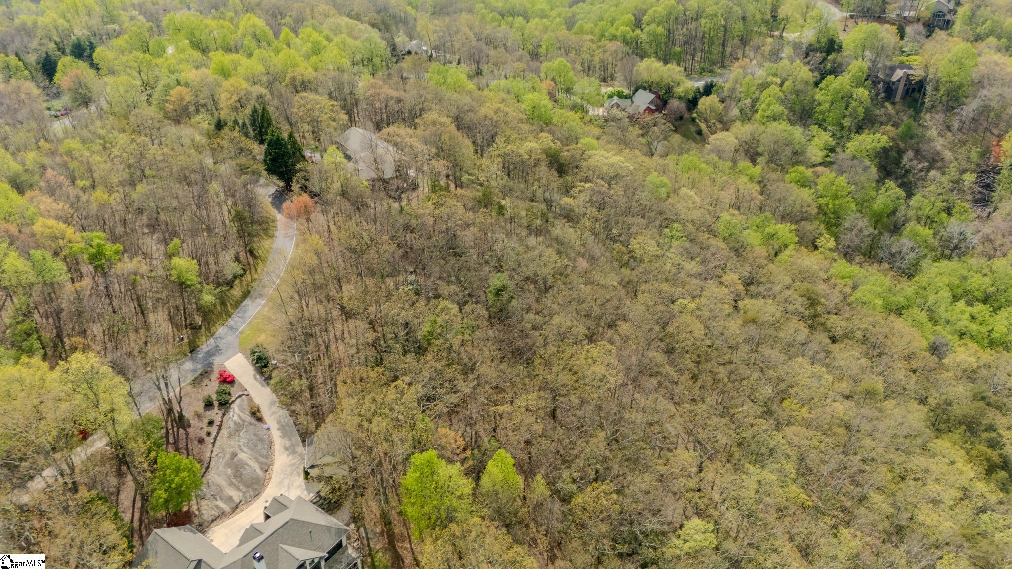 53 Harrier Lane Landrum, SC 29356 - Photo 5 of 9