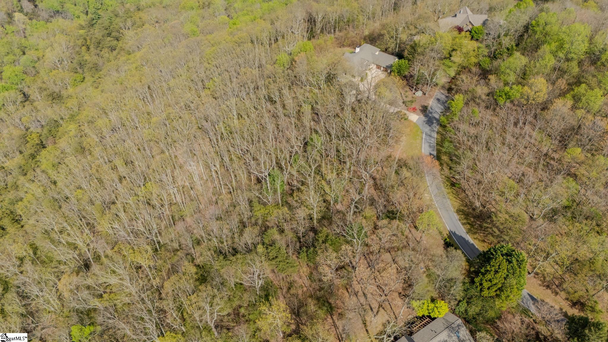 53 Harrier Lane Landrum, SC 29356 - Photo 6 of 9