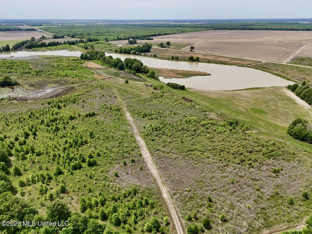 1 Highway 3 Lambert, MS 38643 - Photo 8 of 102 078D8449-CC1B-4CA6-938F-BF9807BE2584_1_1