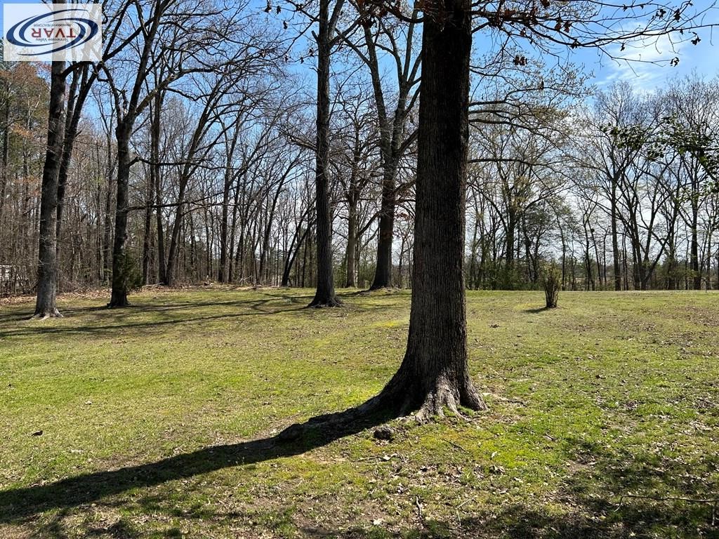 145 Butler School Road Bruceton, TN 38317 - Photo 7 of 21 Gallery Image 7