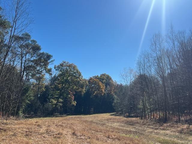 0 Laurel Road Sligo, PA 16255 - Photo 2 of 5 a view of snow in middle of yard