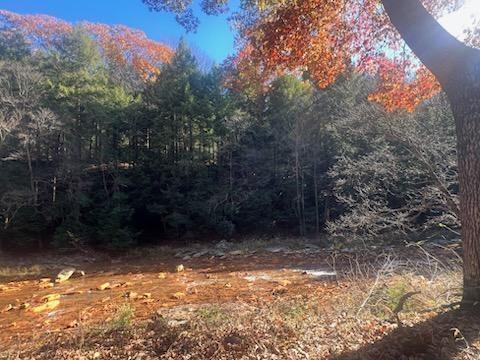 0 Laurel Road Sligo, PA 16255 - Photo 4 of 5 a view of a yard with a tree
