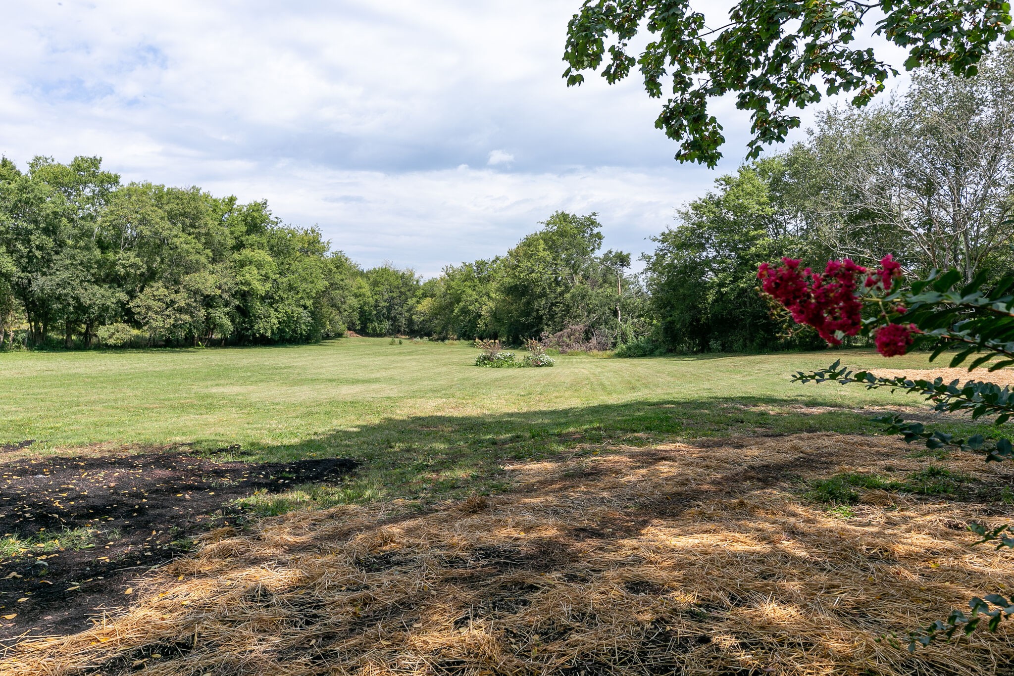 210 Old Rover Road Rockvale, TN 37153 - Photo 40 of 41 a view of a garden with a building