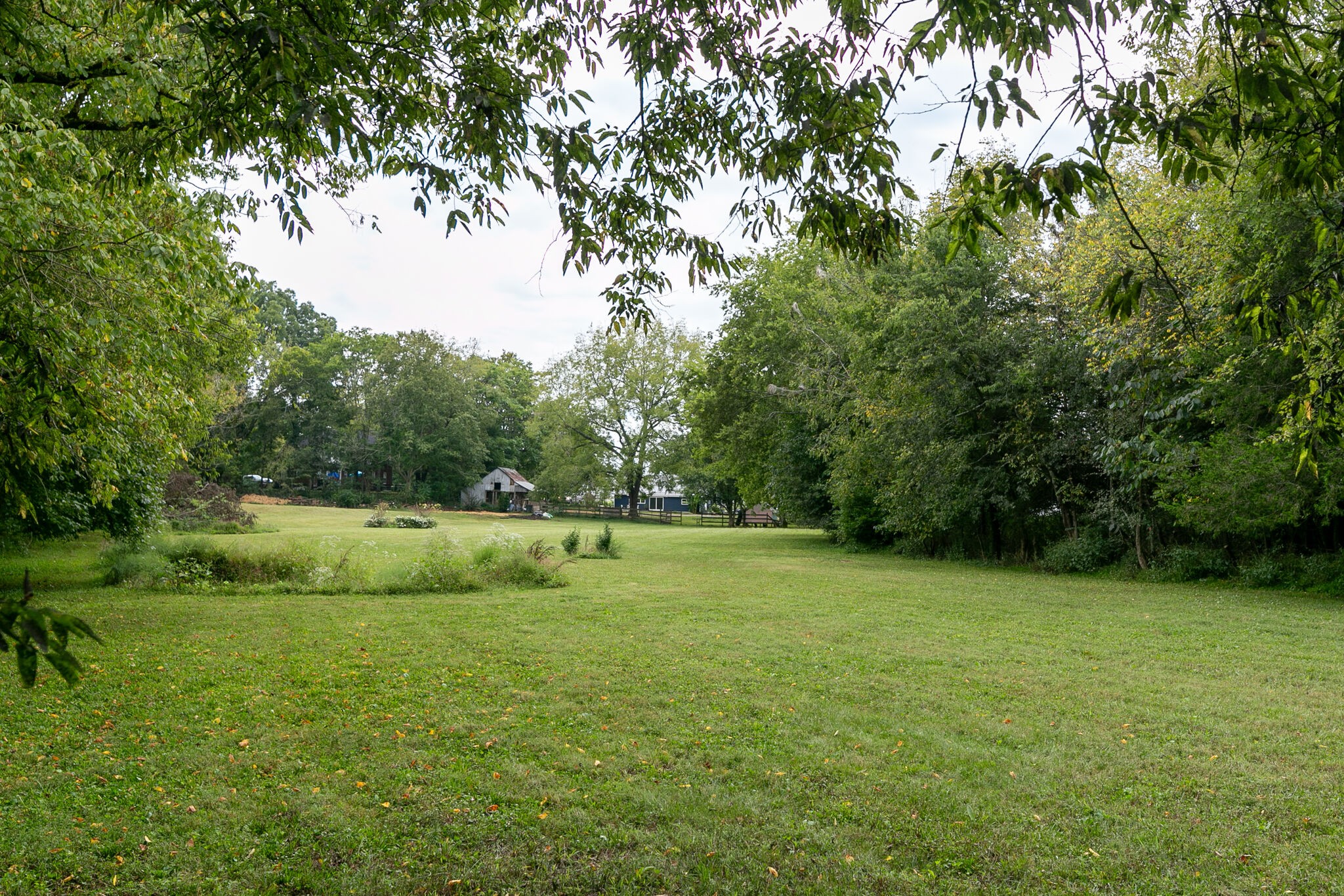 210 Old Rover Road Rockvale, TN 37153 - Photo 41 of 41 a view of a field with a tree