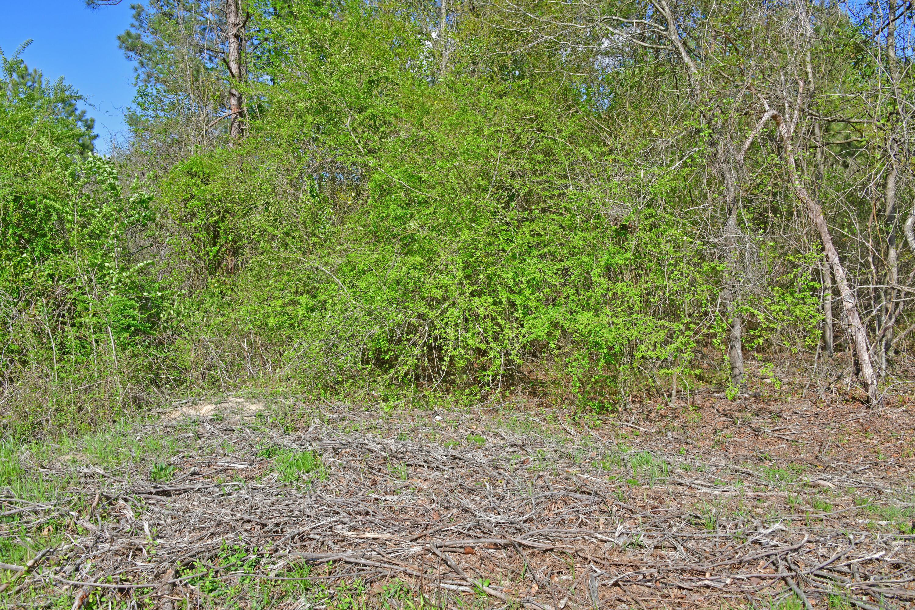 0 Ridgelake(lot 12) Circle St. Matthews, SC 29135 - Photo 1 of 3 Ridelake Cir lot 12.1jpg