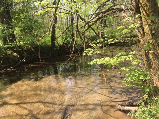 4358 Peytonsville-Trinity Road Franklin, TN 37064 - Photo 12 of 14