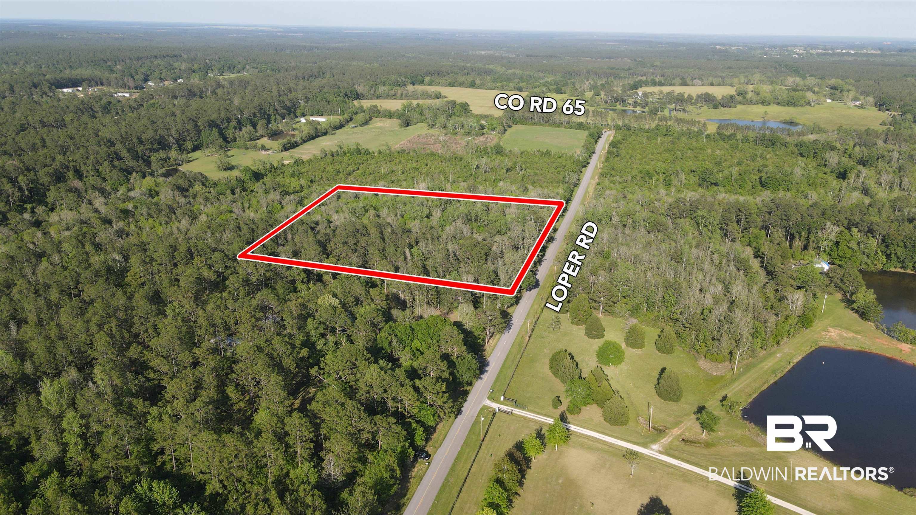 0 Loper Road Loxley, AL 36551 - Photo 5 of 9