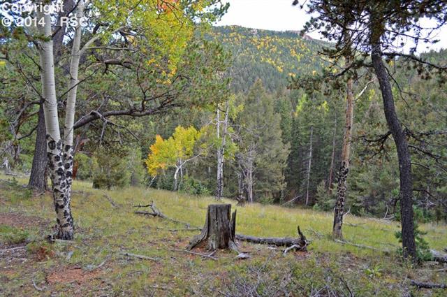 3200 Ridge Road Divide, CO 80814 - Photo 5 of 14