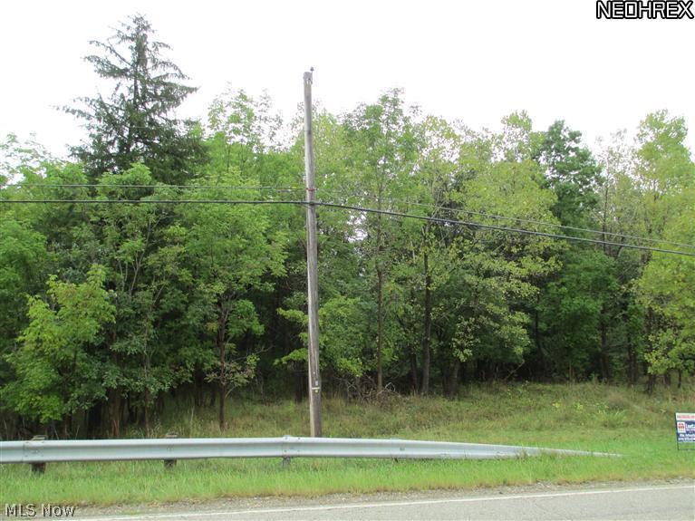 Chittenden Road Hudson, OH 44236 - Photo 1 of 3