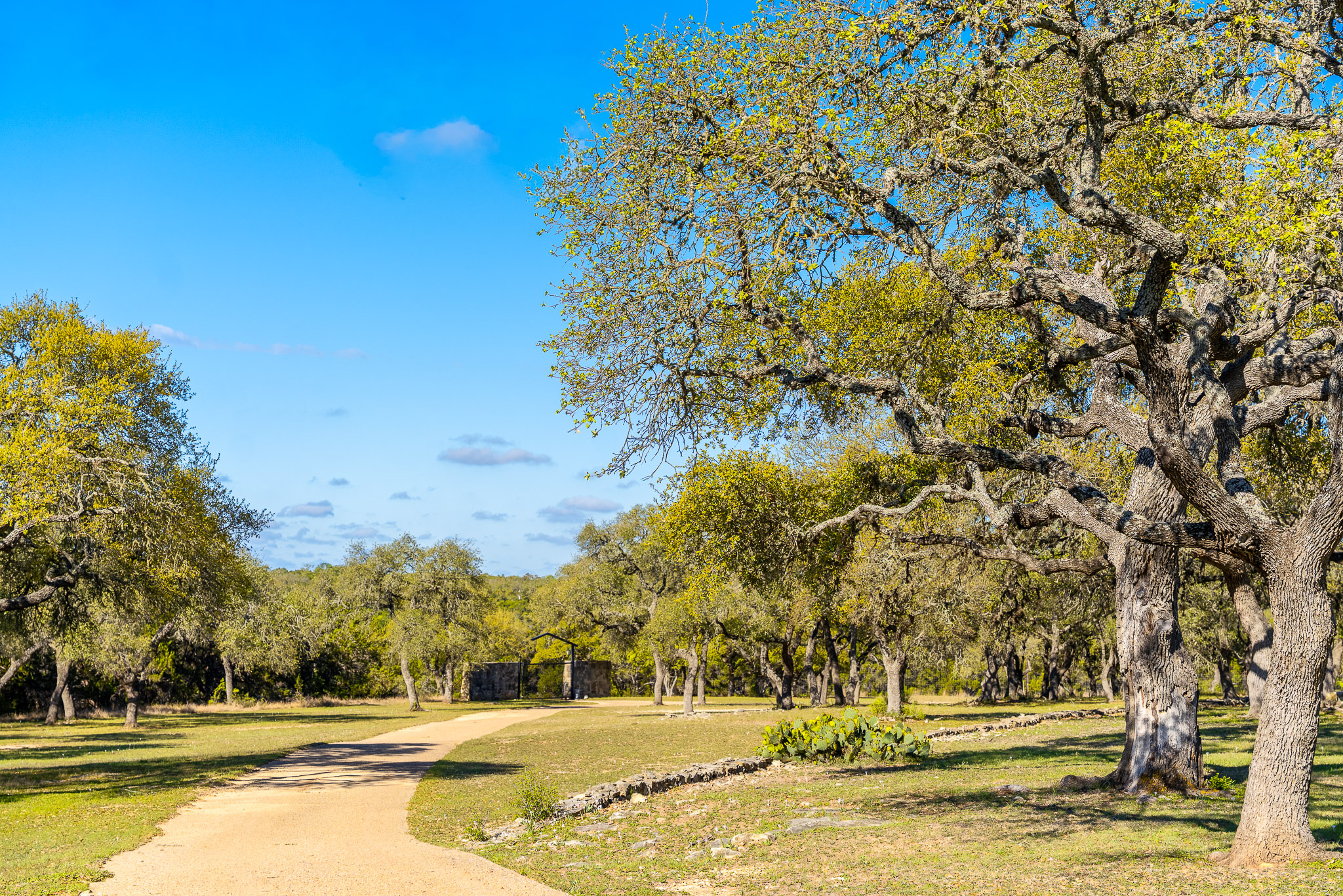 1100 Pump Station Road Wimberley, TX 78676 - Photo 28 of 40 View of property's community featuring driveway