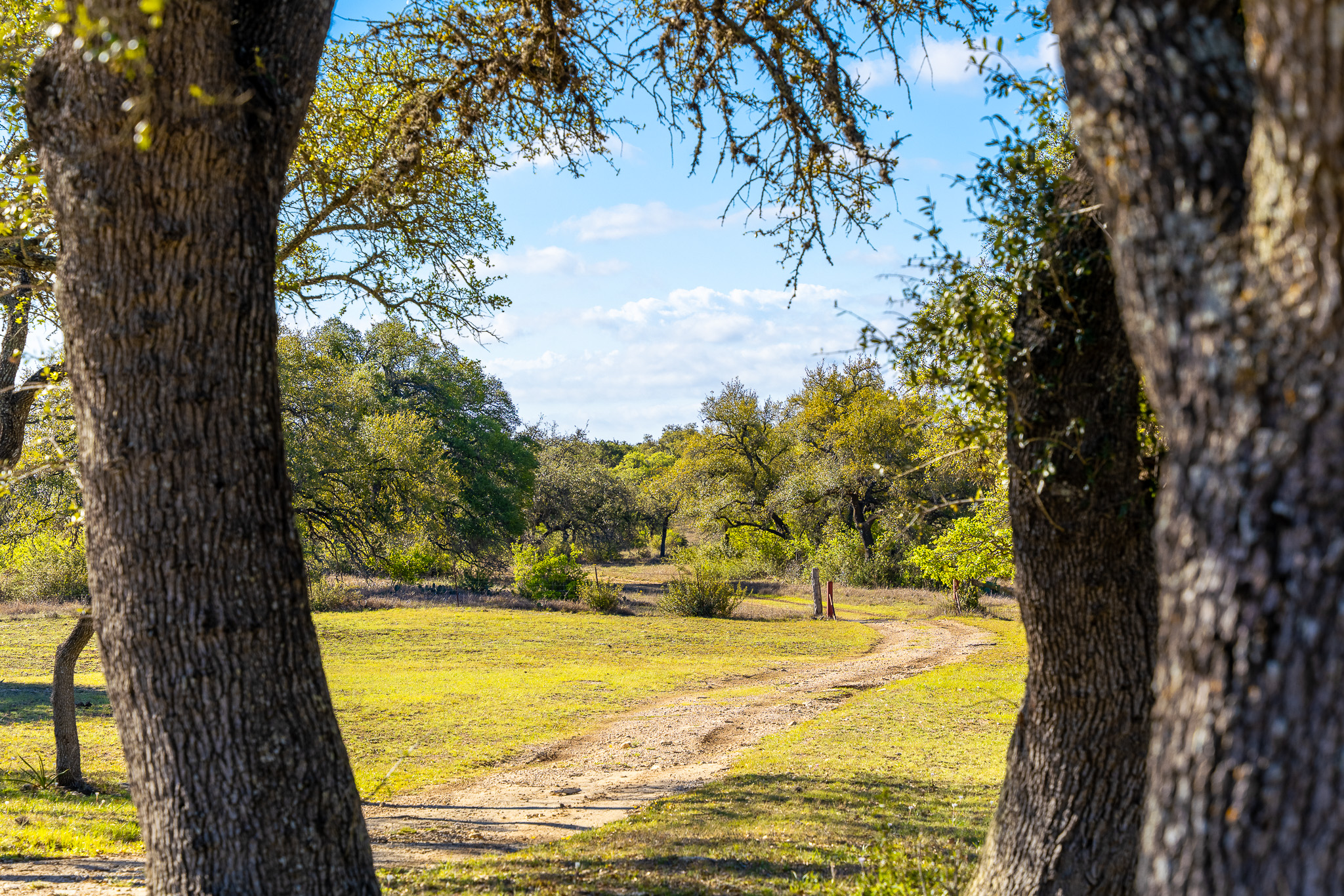 1100 Pump Station Road Wimberley, TX 78676 - Photo 29 of 40 a view of swimming pool with an ocean view