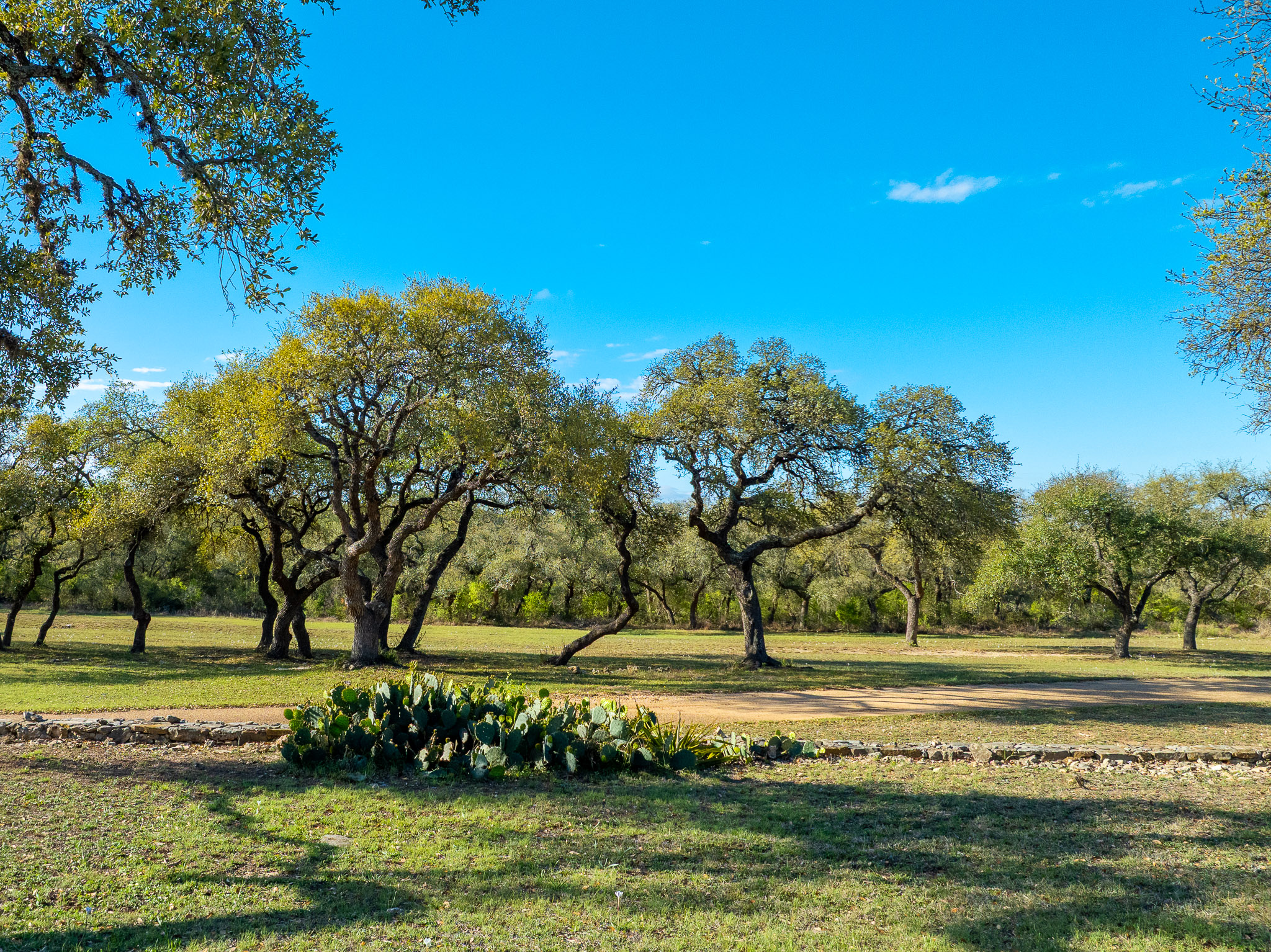 1100 Pump Station Road Wimberley, TX 78676 - Photo 30 of 40 a view of a yard with a fountain