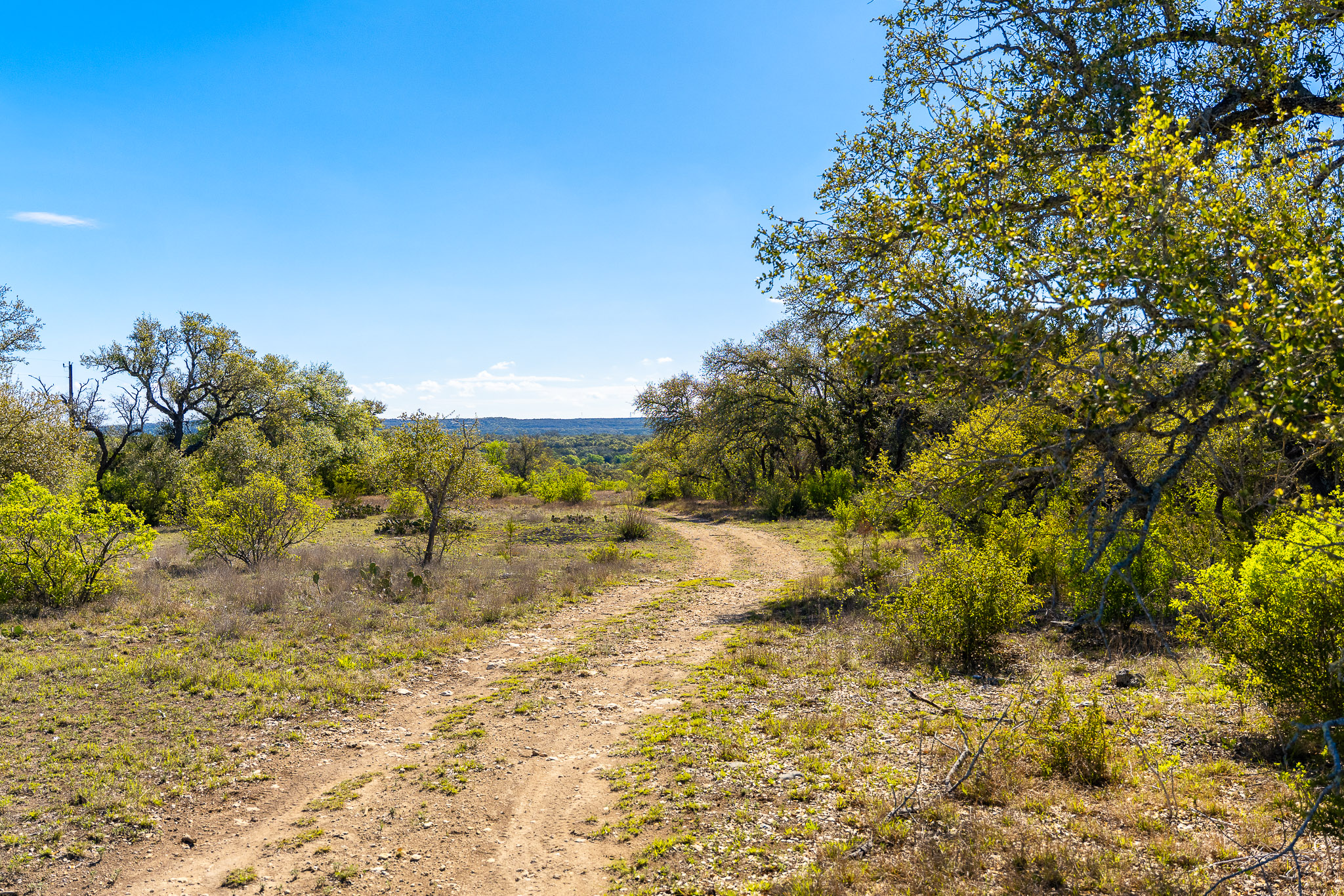 1100 Pump Station Road Wimberley, TX 78676 - Photo 32 of 40 a view of a yard with trees and bushes