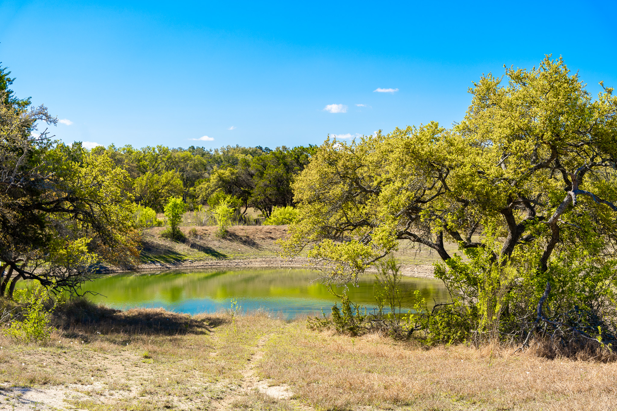 1100 Pump Station Road Wimberley, TX 78676 - Photo 33 of 40 View of property's community with a water view