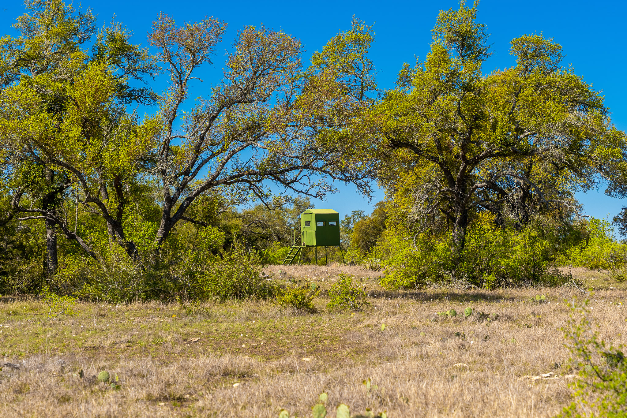 1100 Pump Station Road Wimberley, TX 78676 - Photo 35 of 40 a front view of a house with a yard