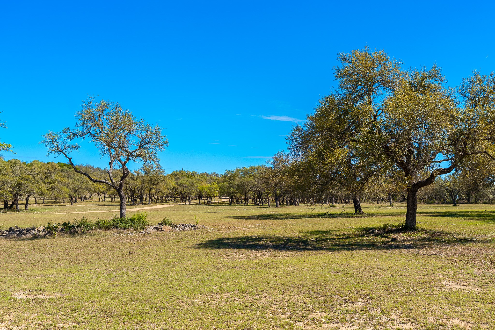 1100 Pump Station Road Wimberley, TX 78676 - Photo 36 of 40 a view of a lake with a mountain in the background